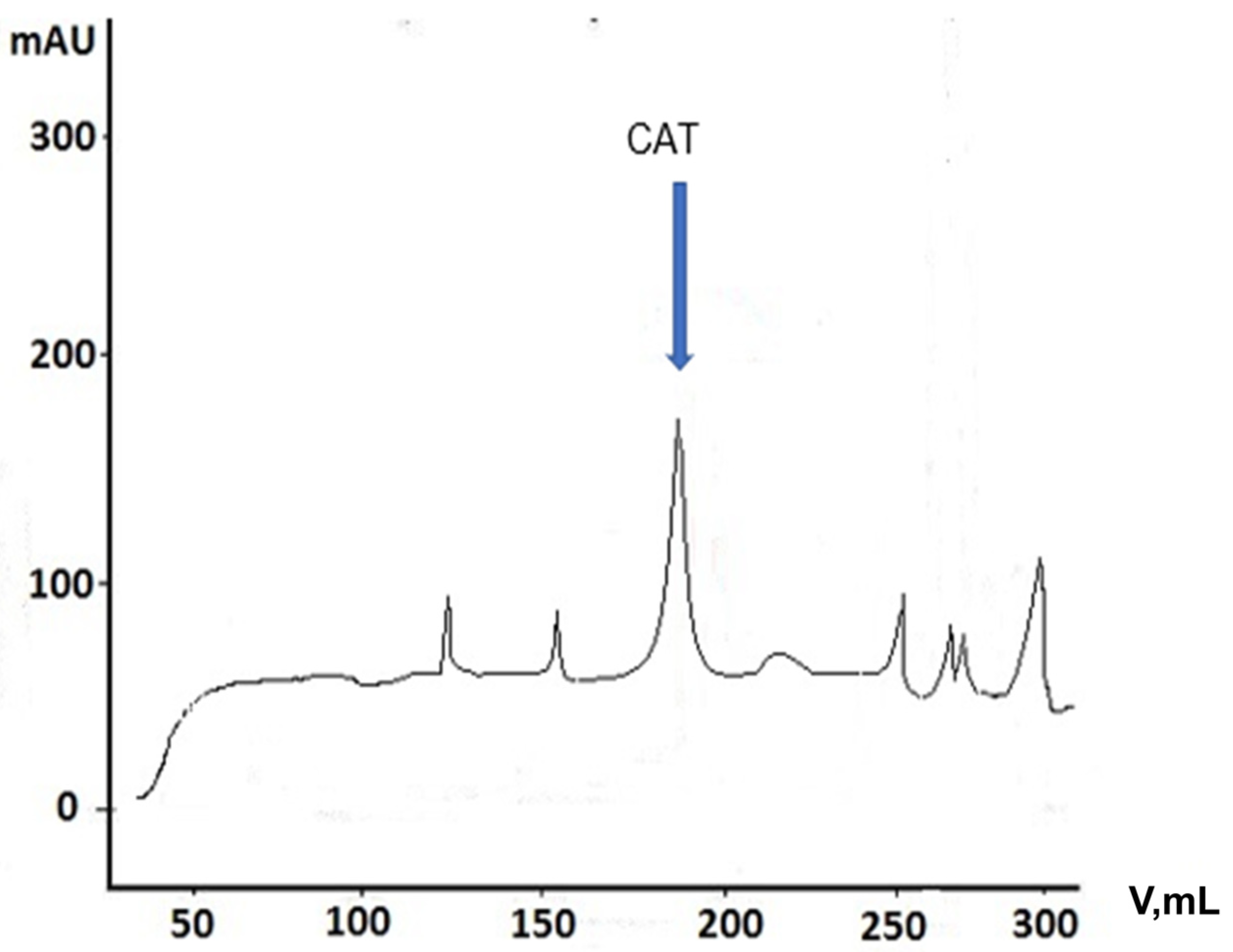 Fermentation 10 00058 g007