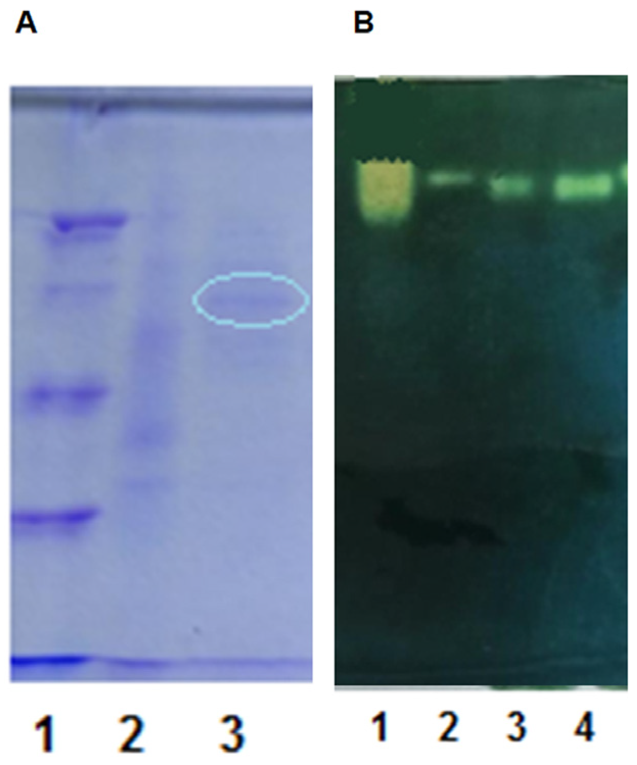 Fermentation 10 00058 g008