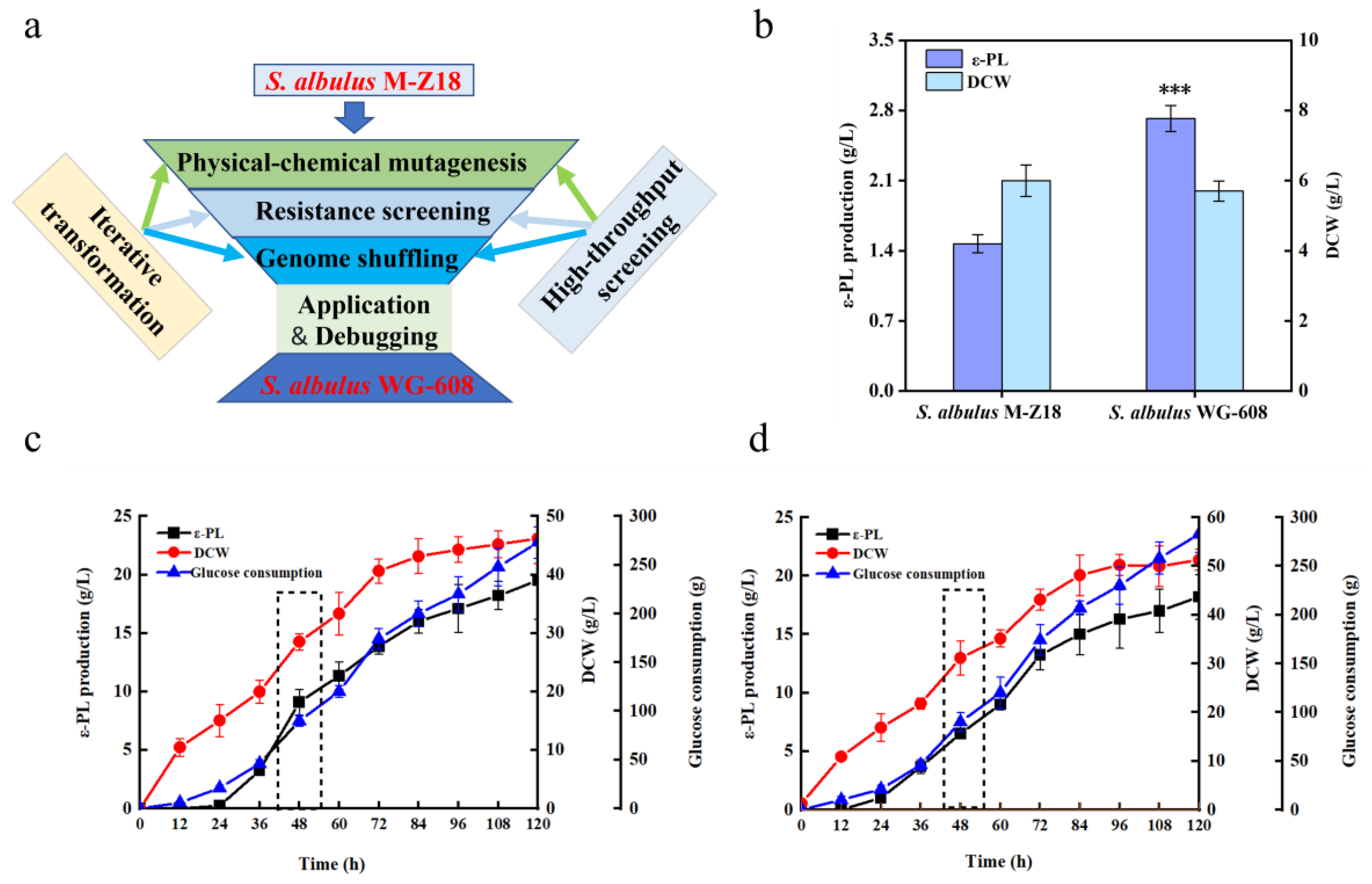 Fermentation 10 00065 g001