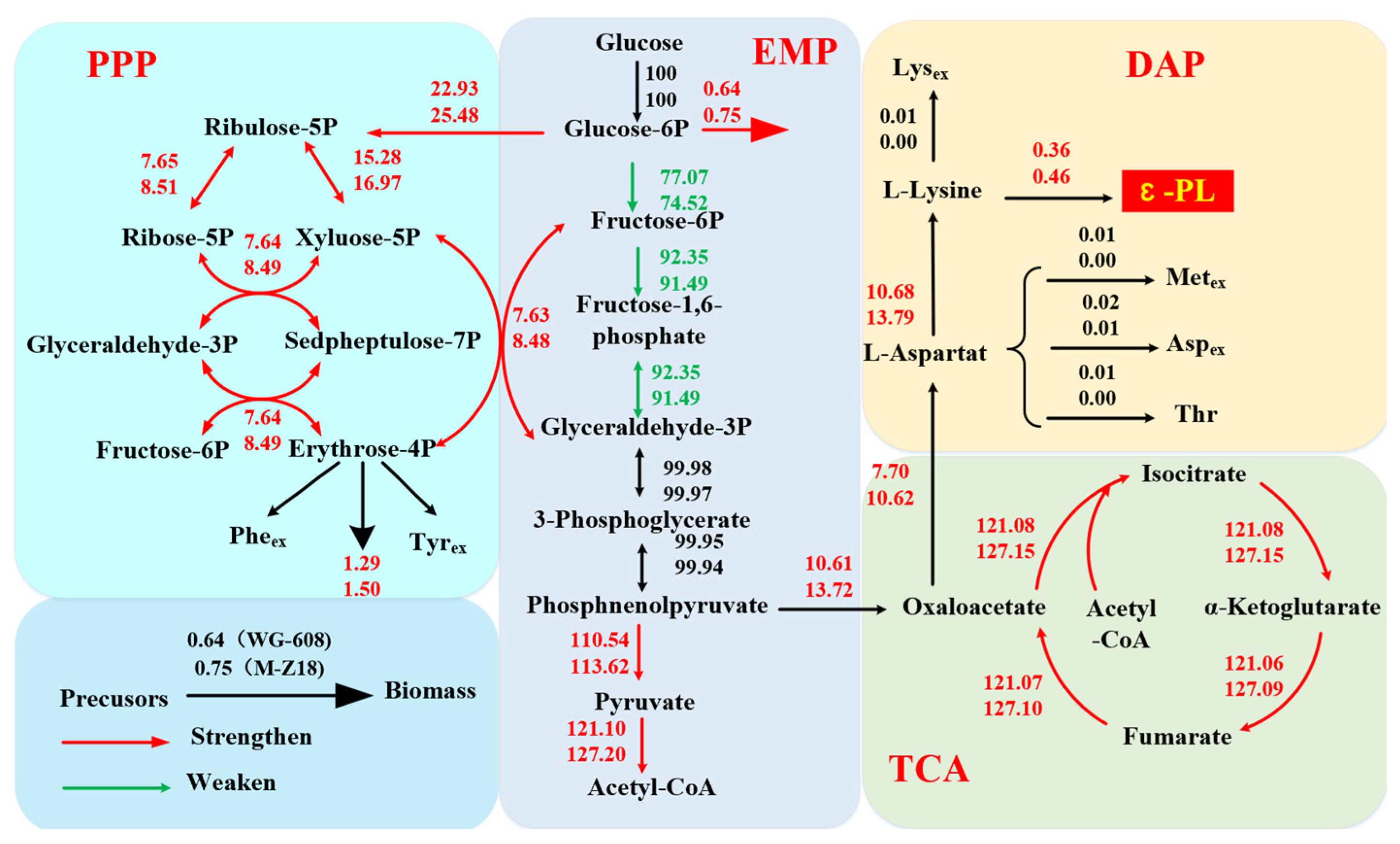 Fermentation 10 00065 g002