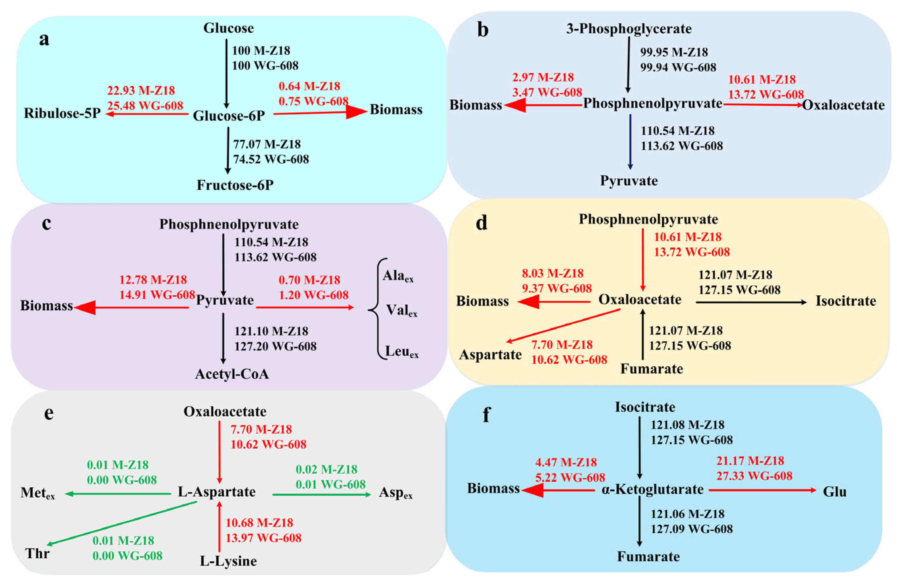 Fermentation 10 00065 g003