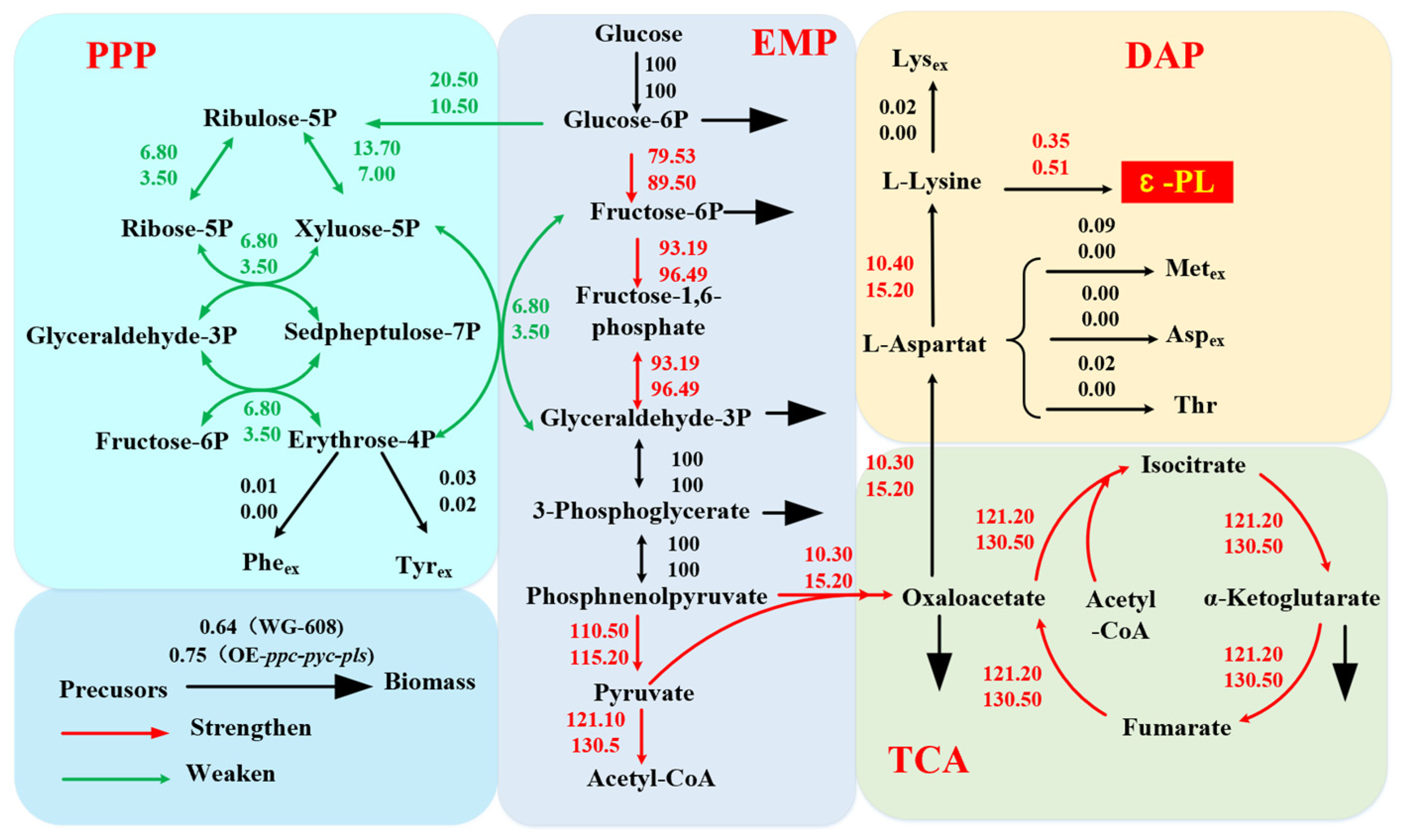 Fermentation 10 00065 g006