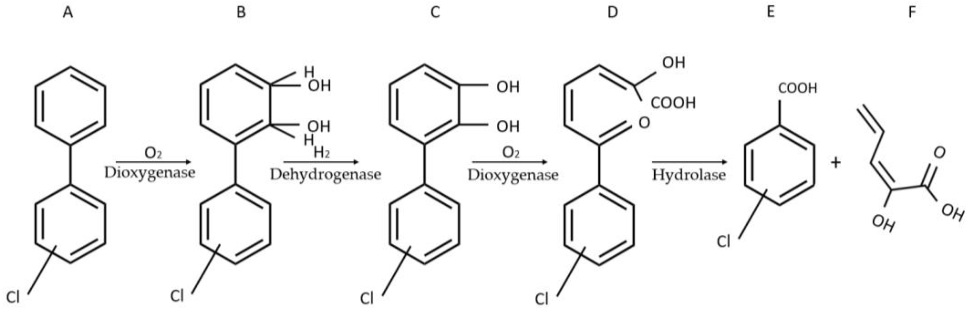 Fermentation 10 00079 g001