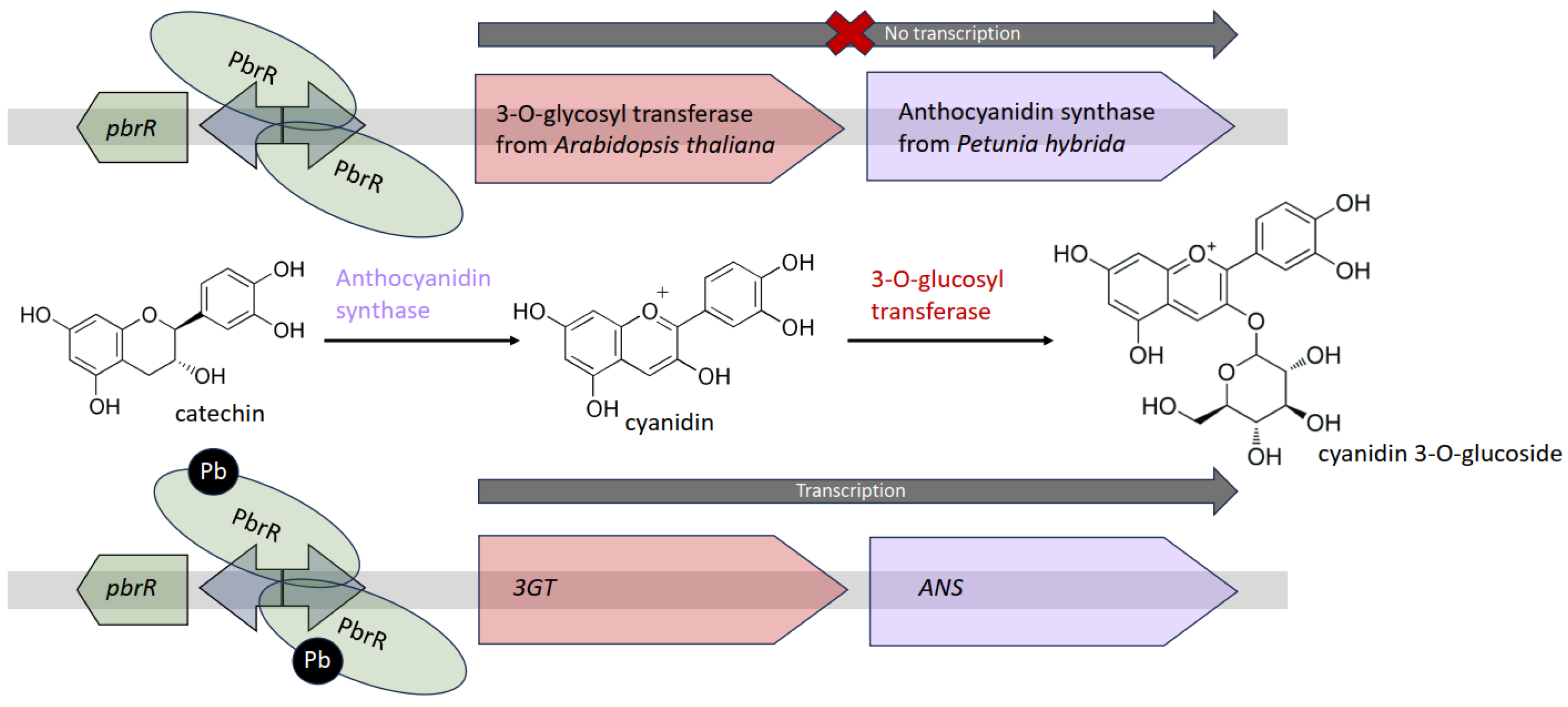 Fermentation 10 00079 g005