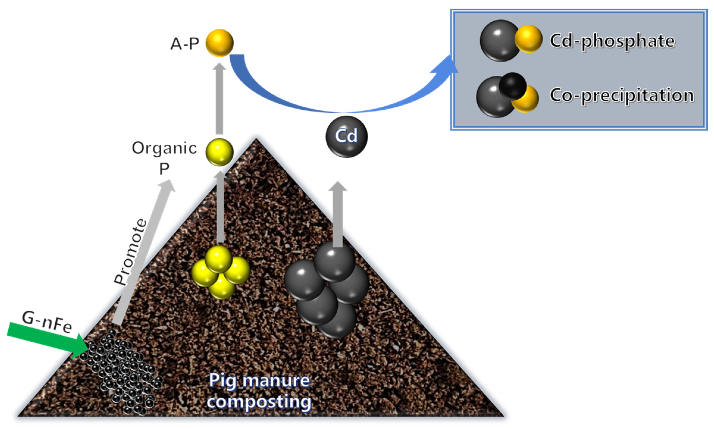 Fermentation 10 00088 g001