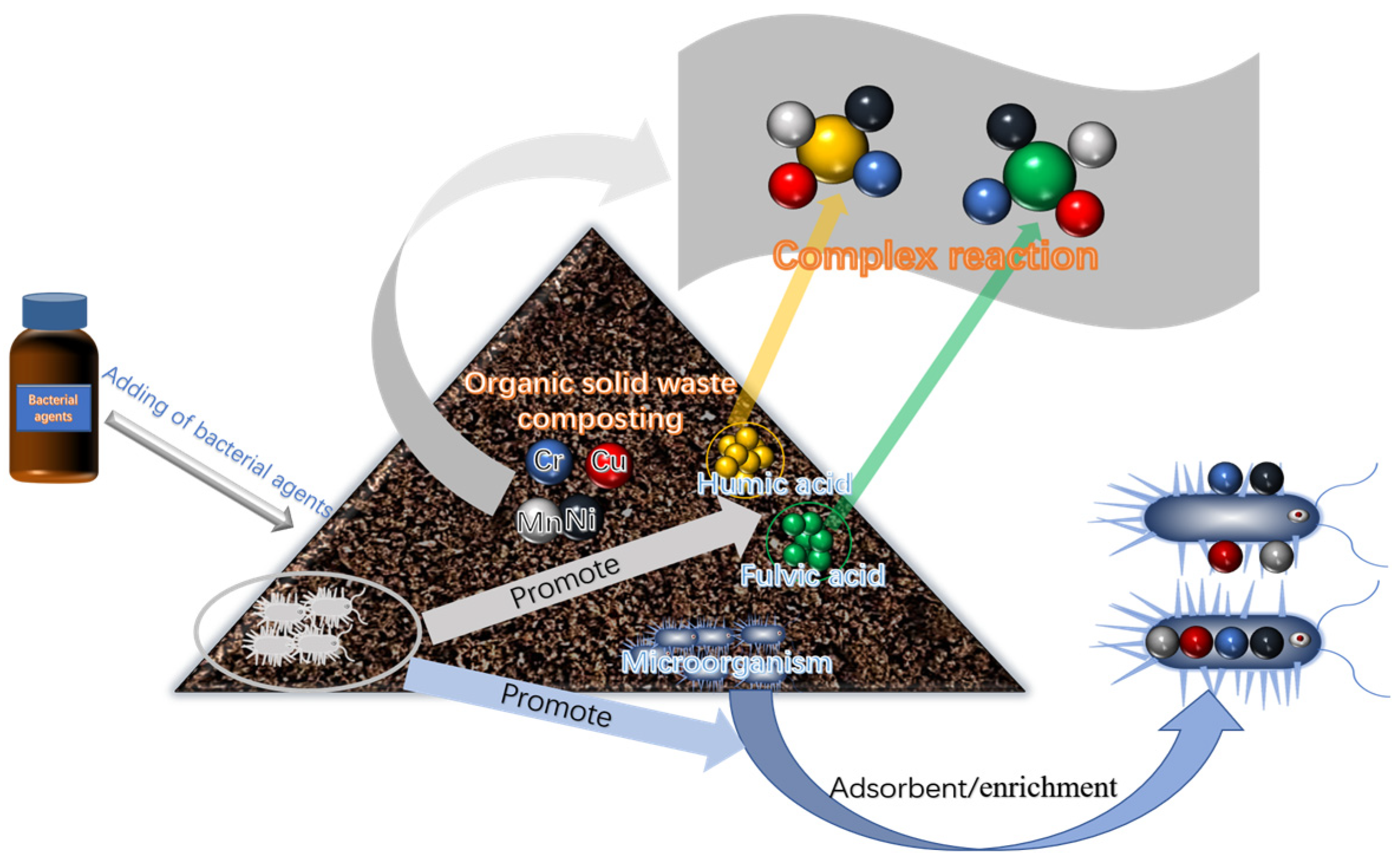 Fermentation 10 00088 g002