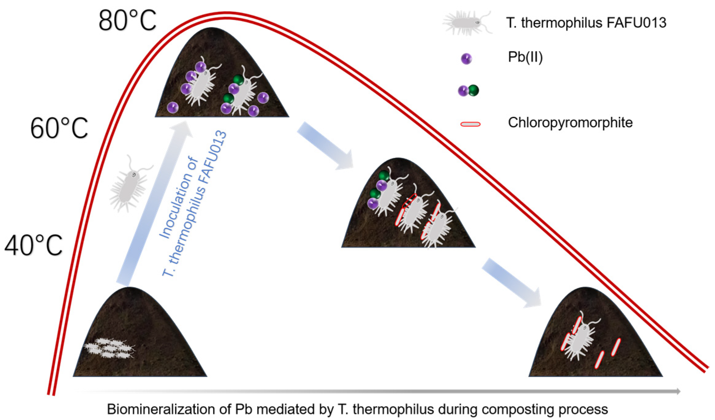 Fermentation 10 00088 g004