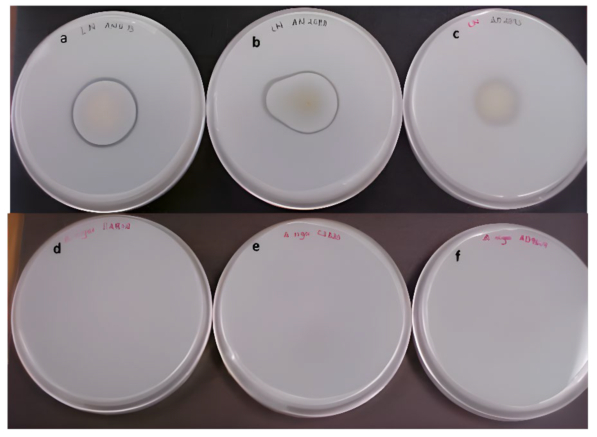 Fermentation 10 00097 g001