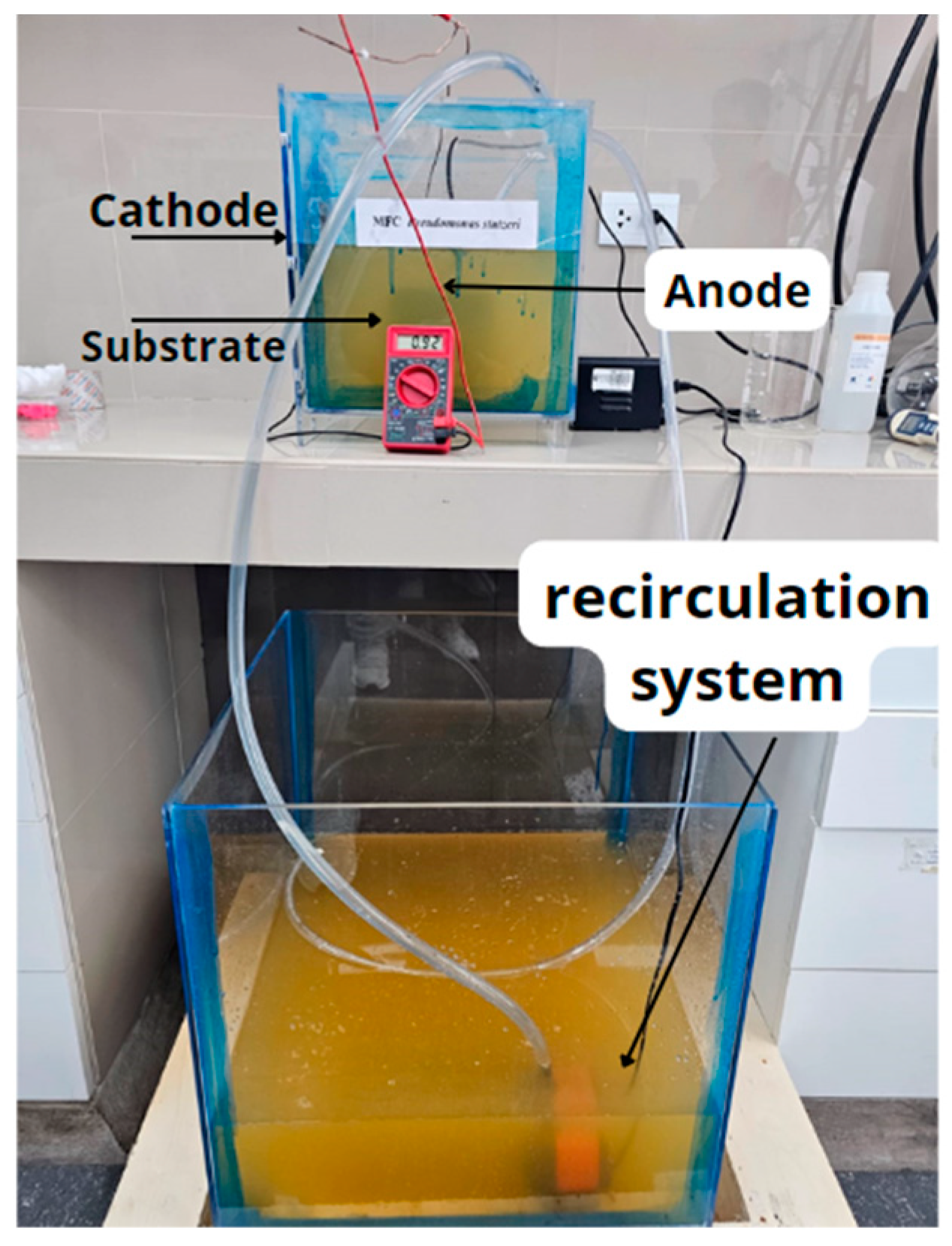 Fermentation 10 00113 g001