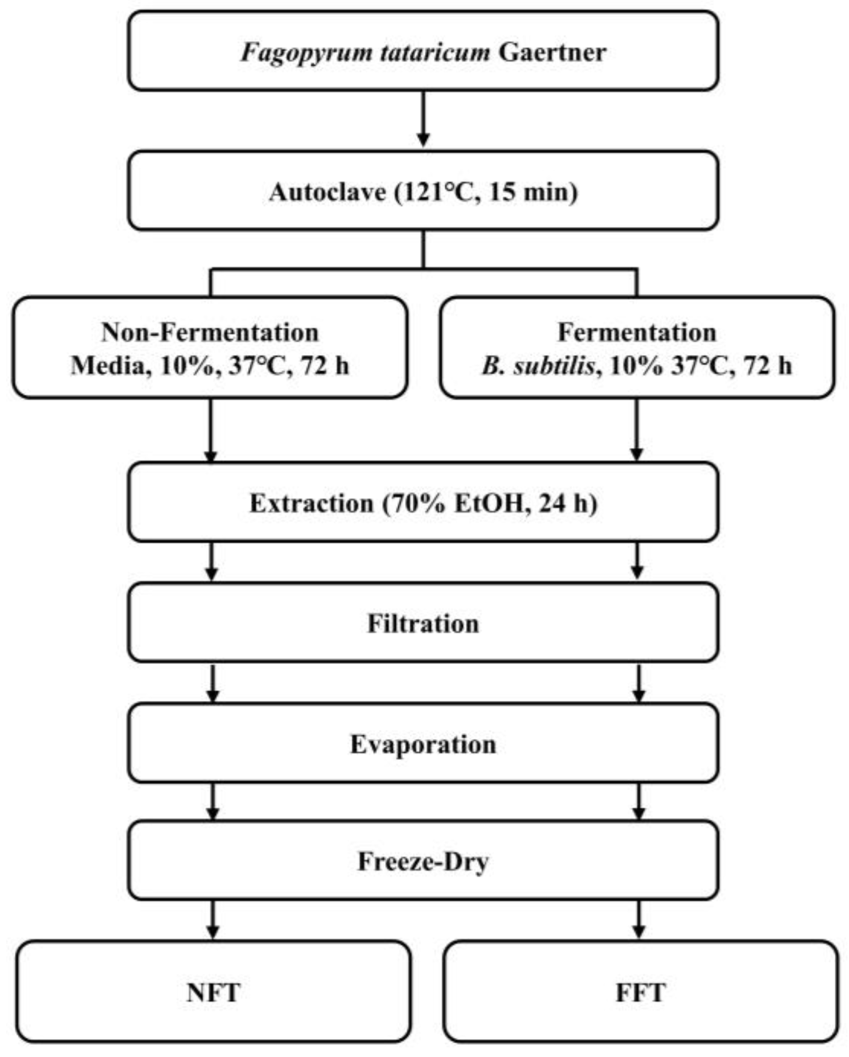 Fermentation 10 00116 g001