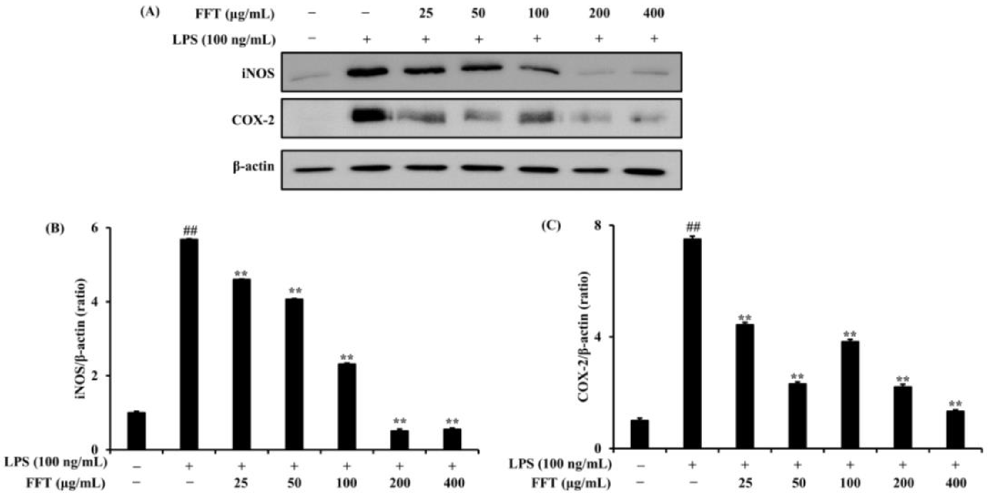 Fermentation 10 00116 g004