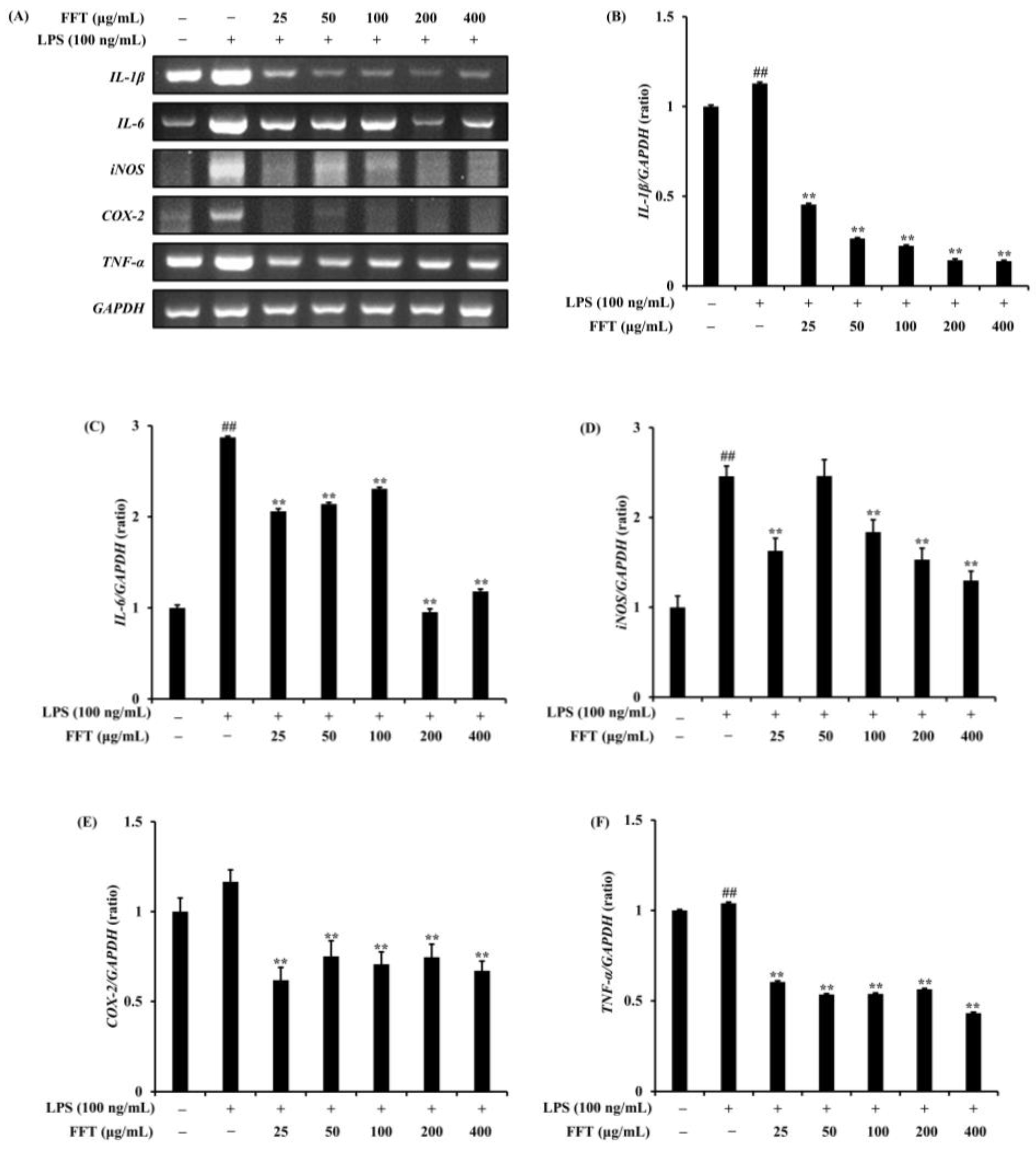 Fermentation 10 00116 g005