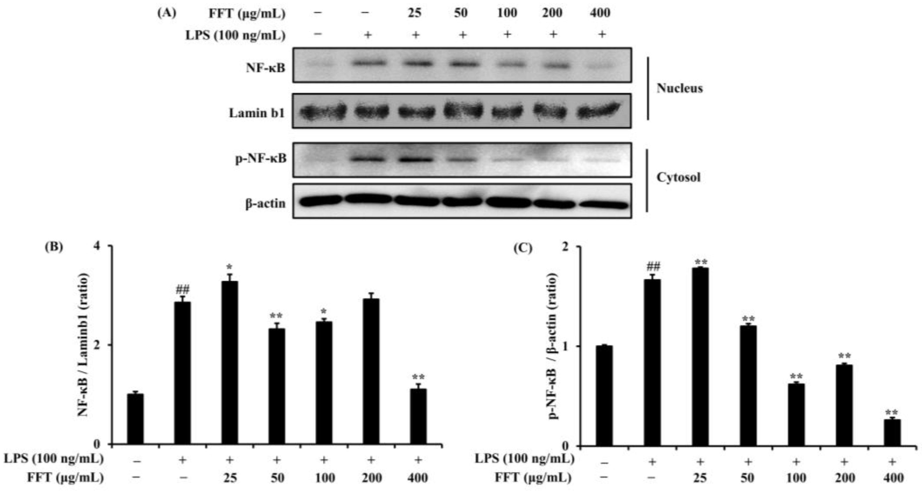 Fermentation 10 00116 g006