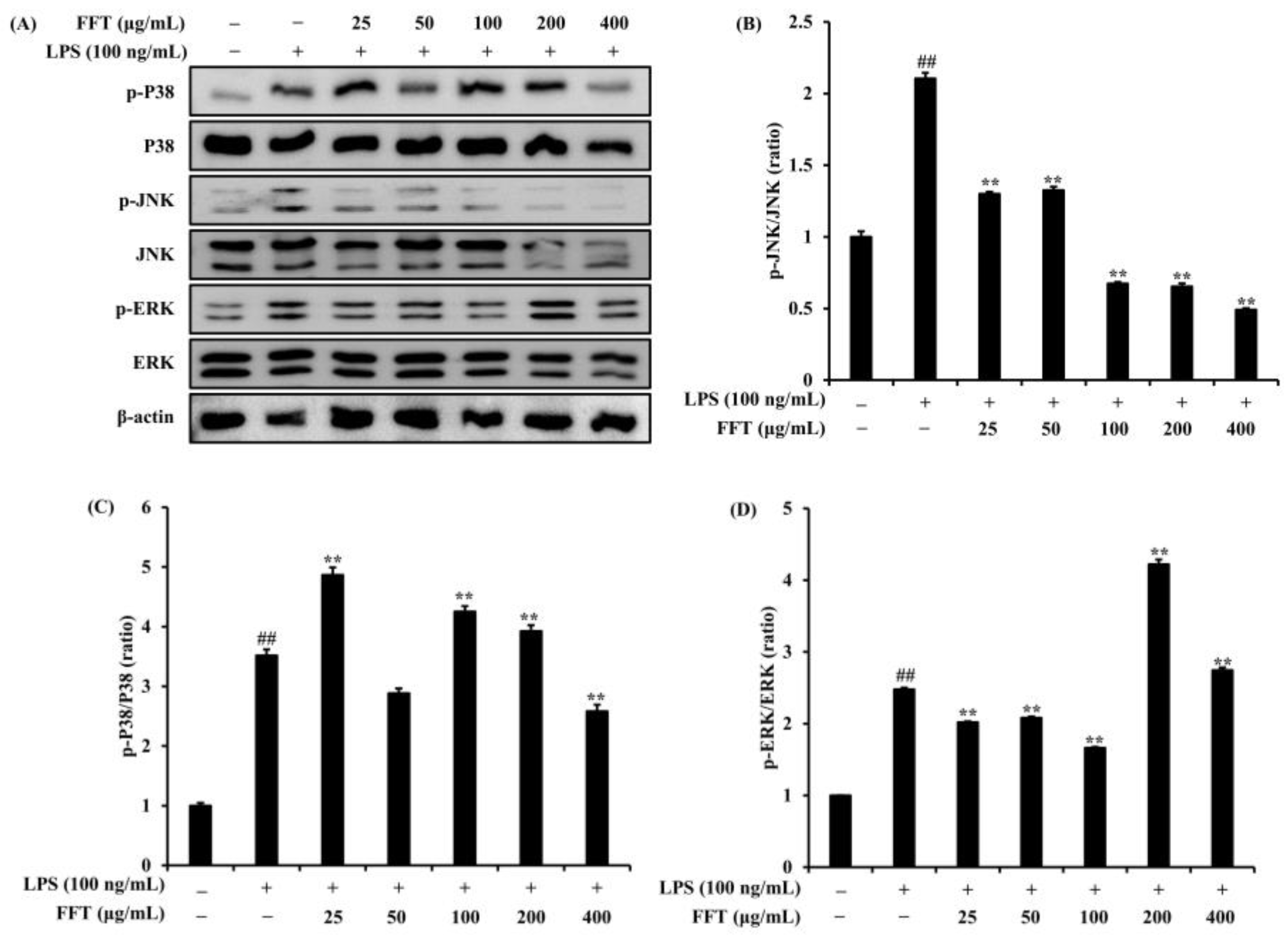 Fermentation 10 00116 g007