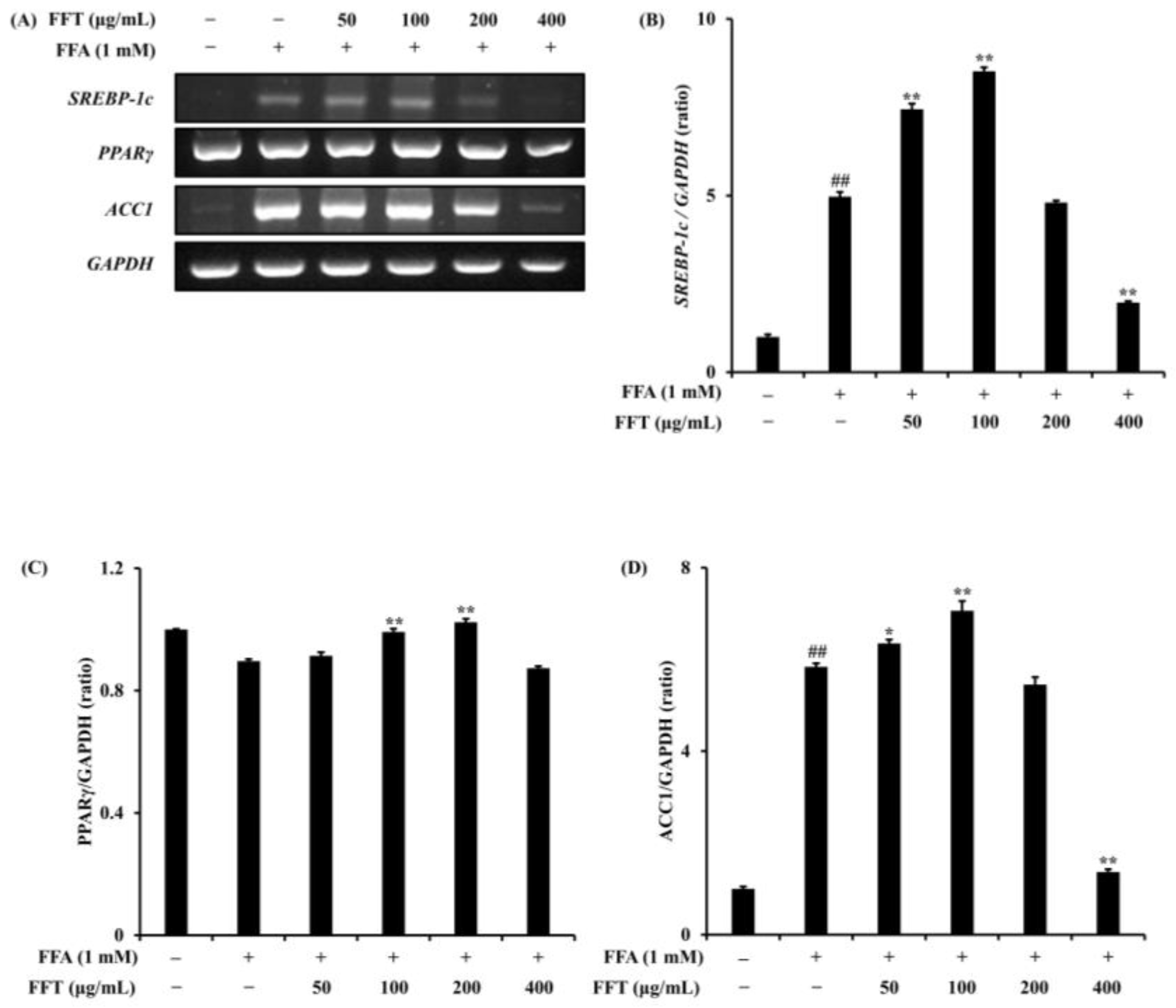 Fermentation 10 00116 g010