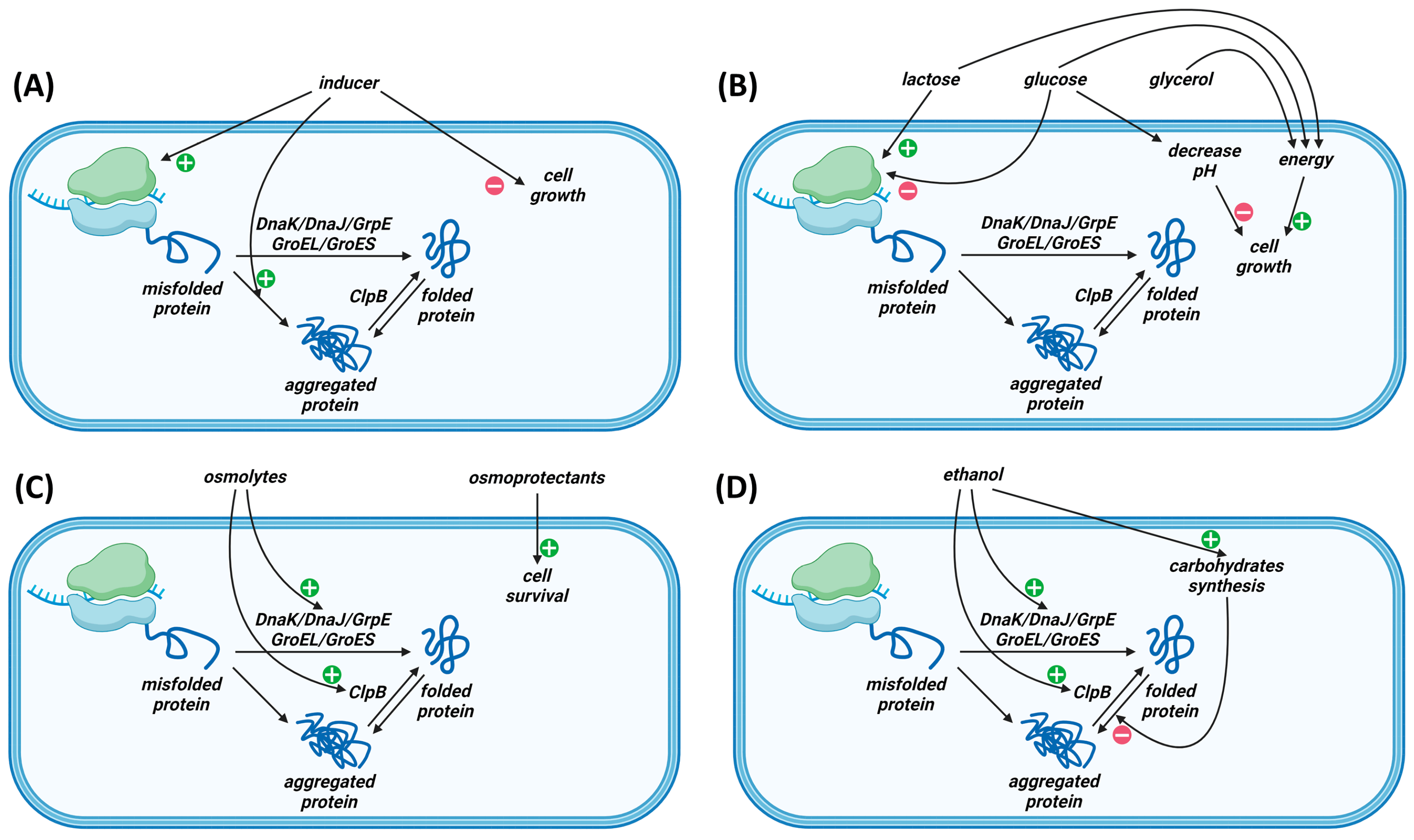 Fermentation 10 00120 g001