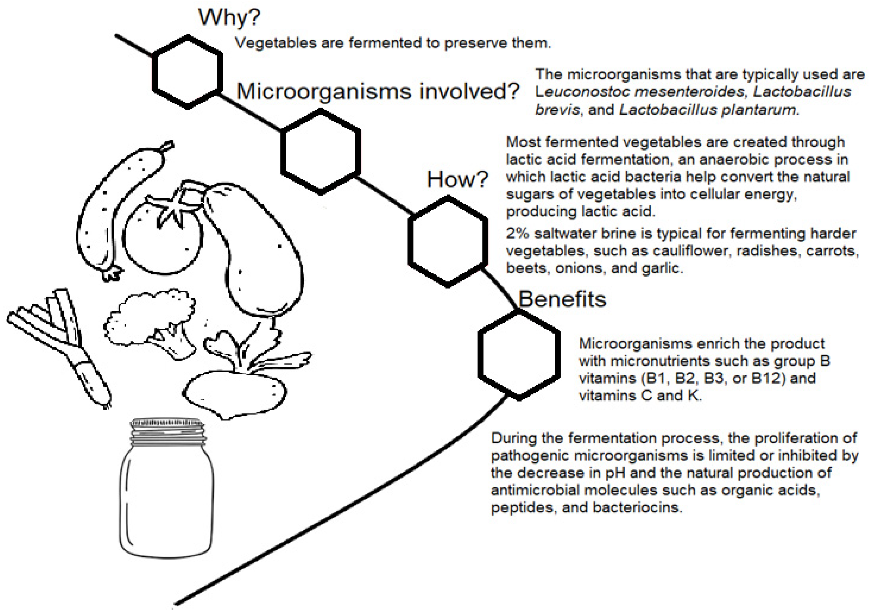 Fermentation 10 00124 g001
