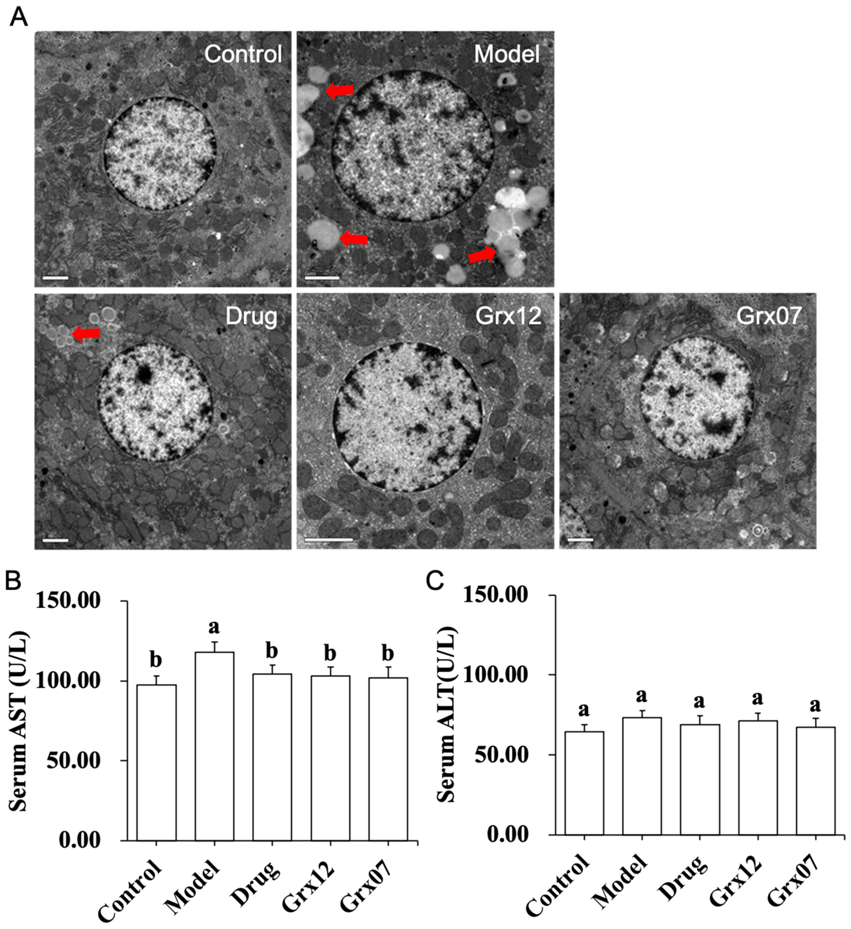 Fermentation 10 00127 g001