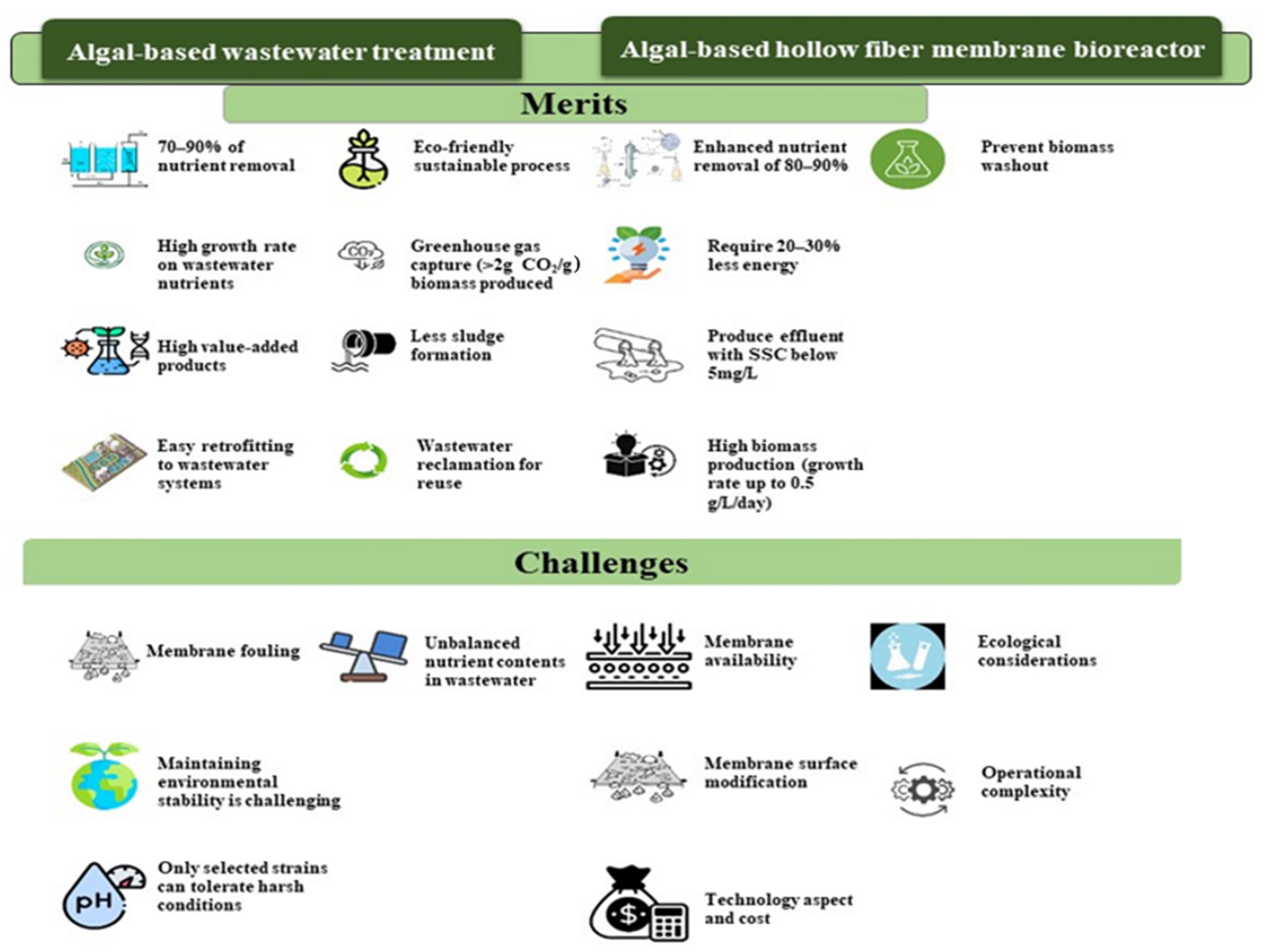 Fermentation 10 00131 g001