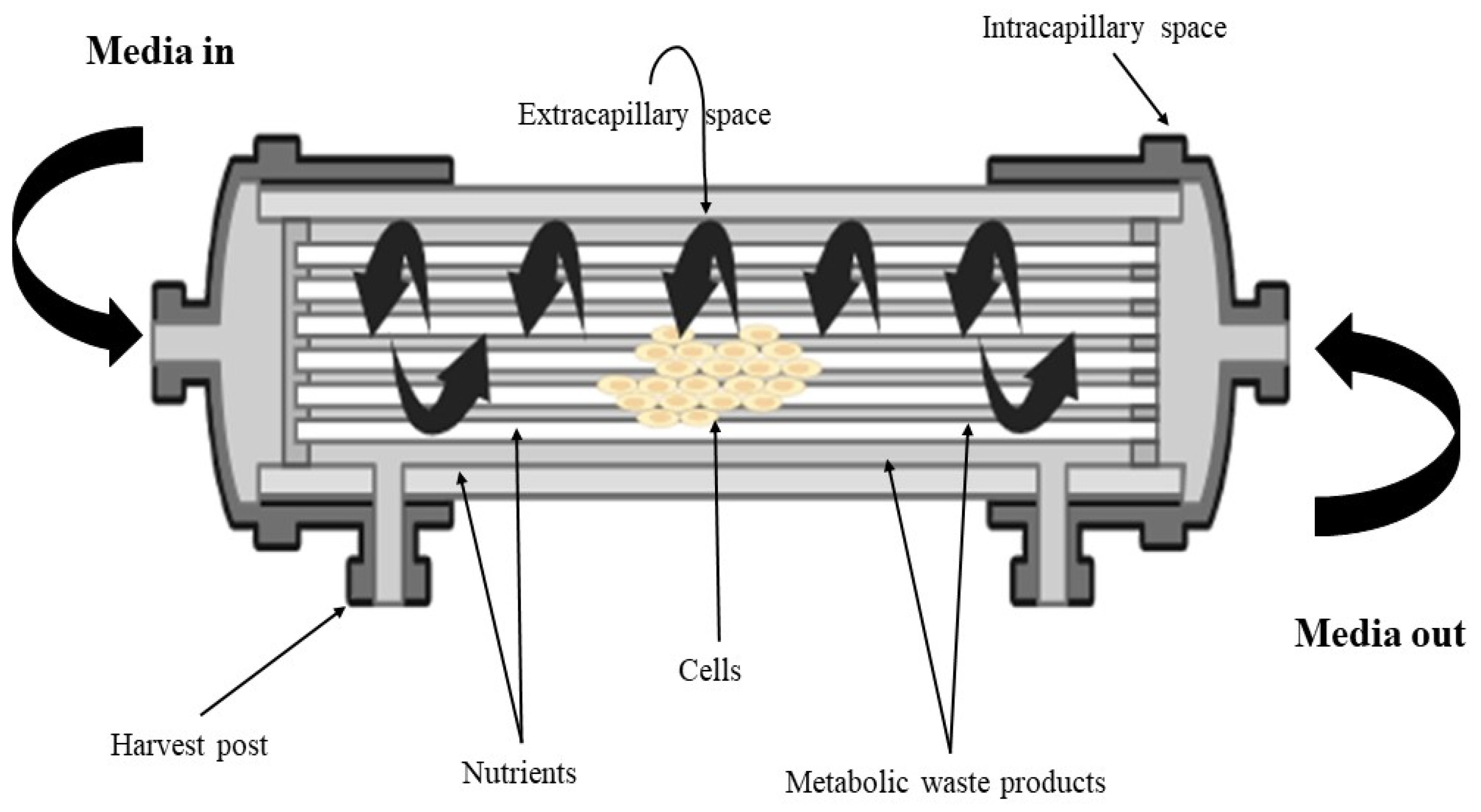 Fermentation 10 00131 g002