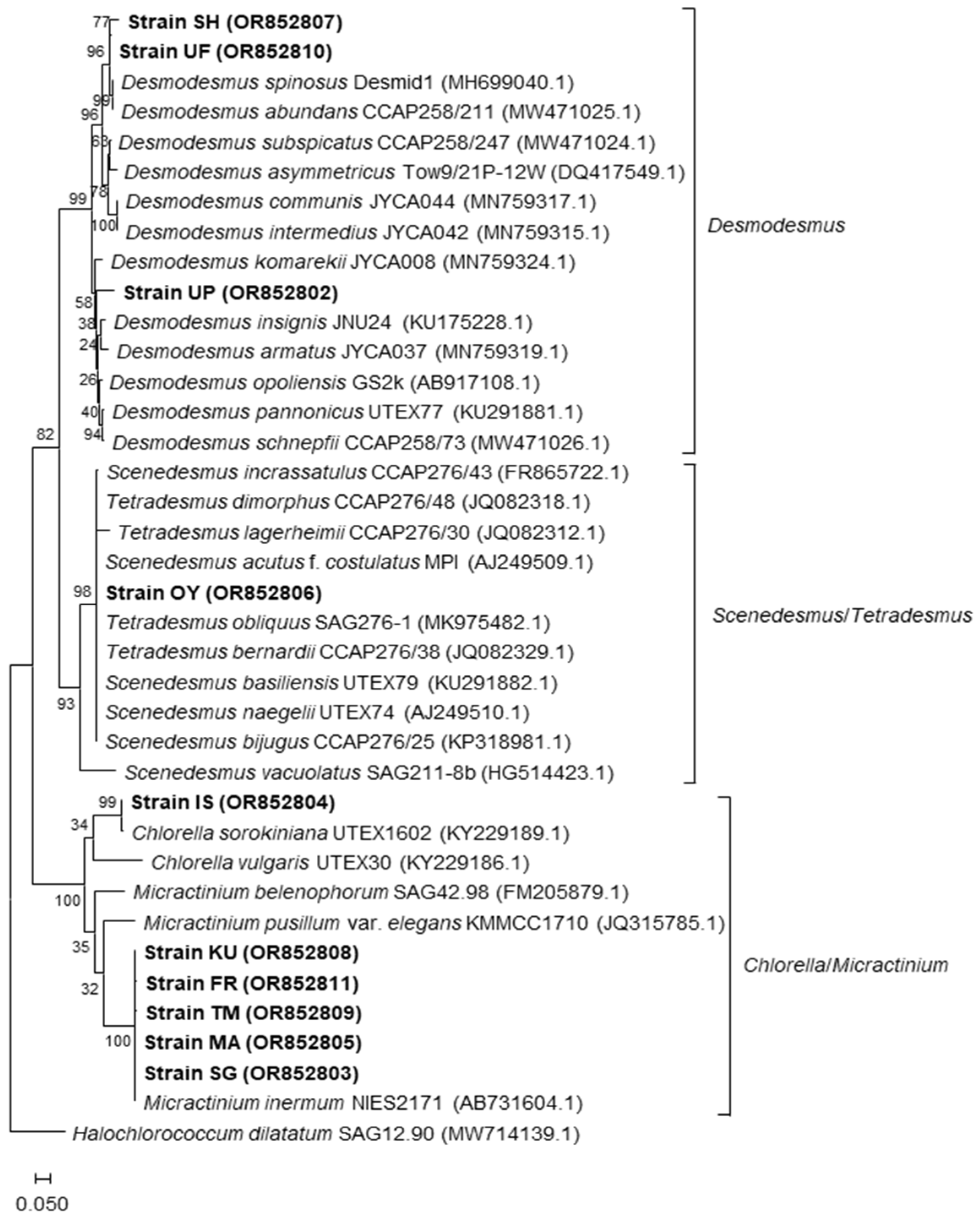 Fermentation 10 00134 g001