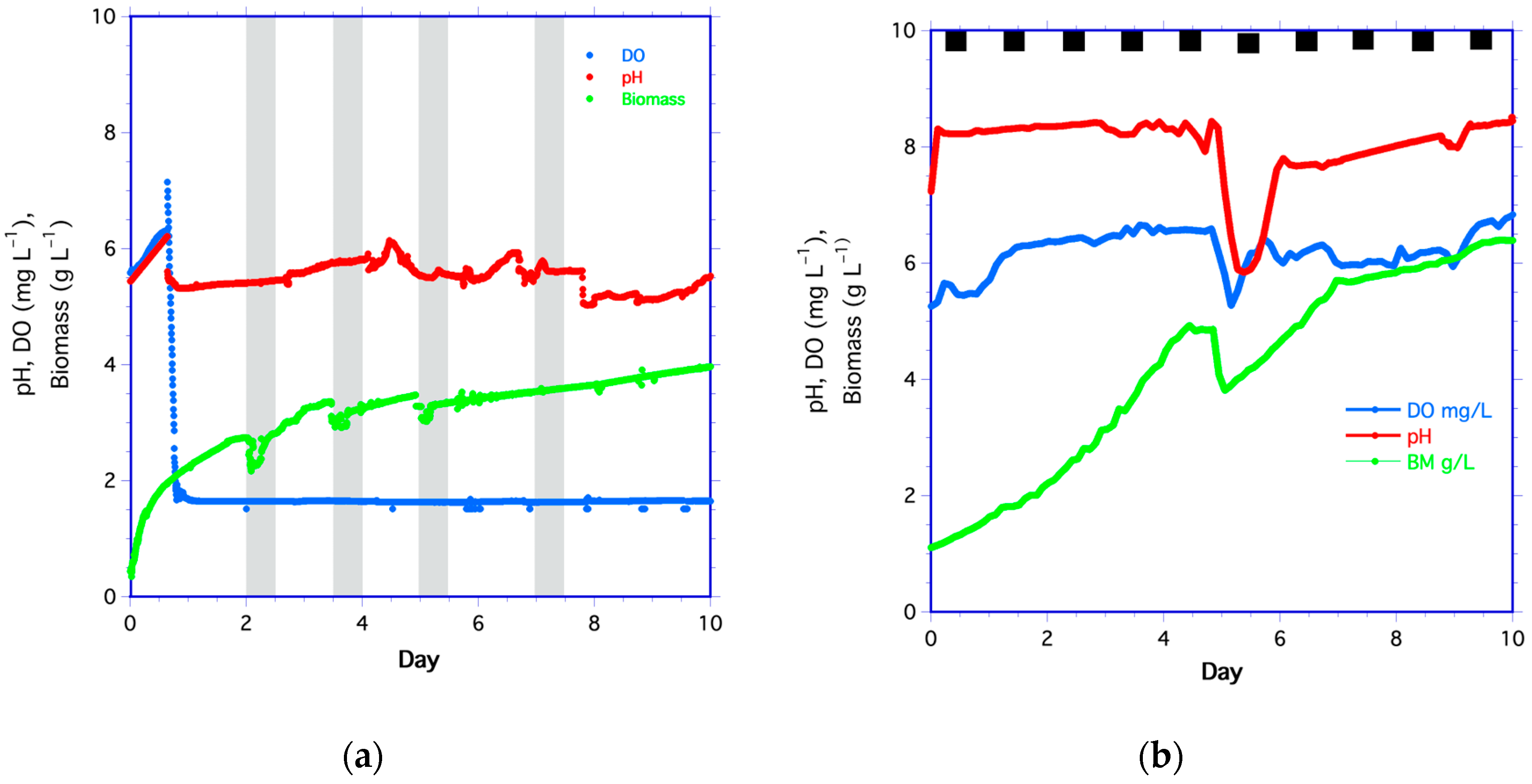 Fermentation 10 00135 g001