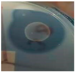 Fermentation 10 00139 i001