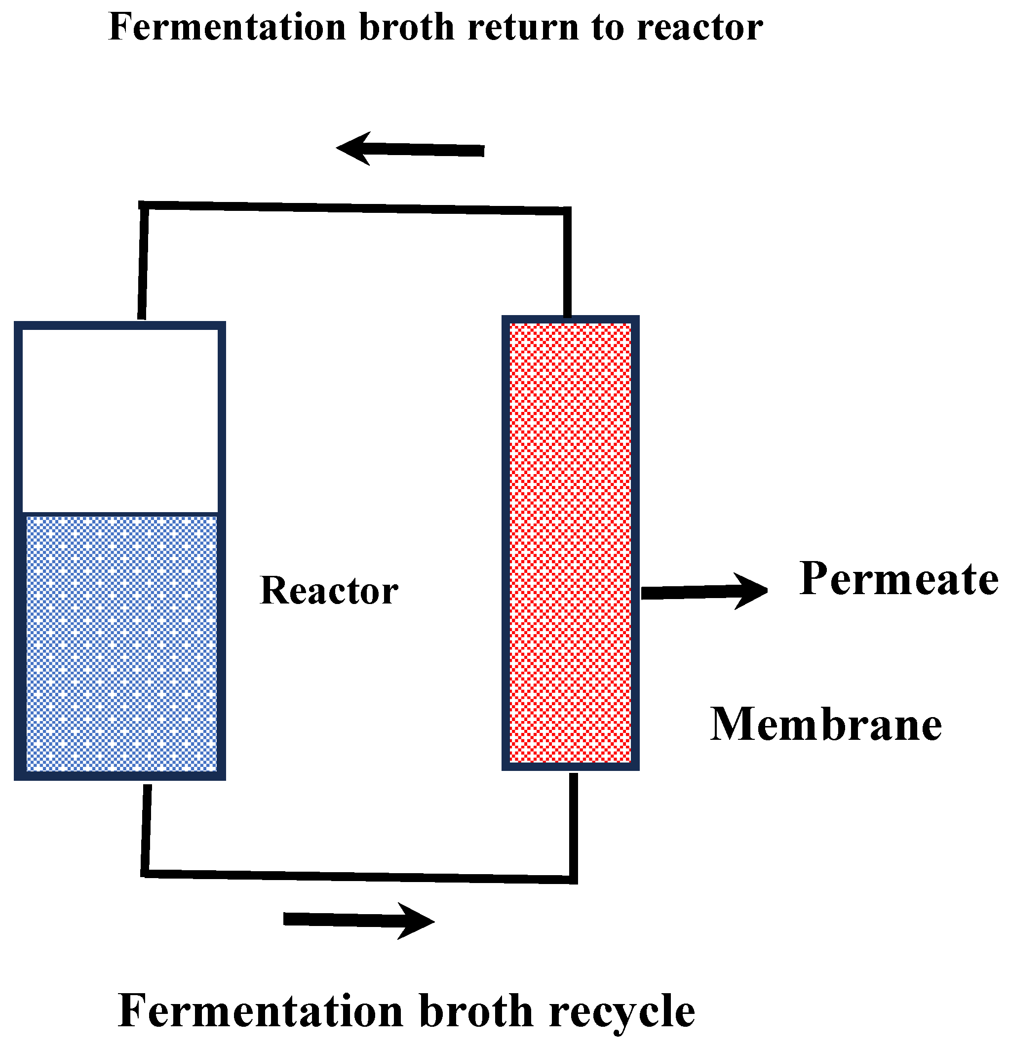 Fermentation 10 00142 g001