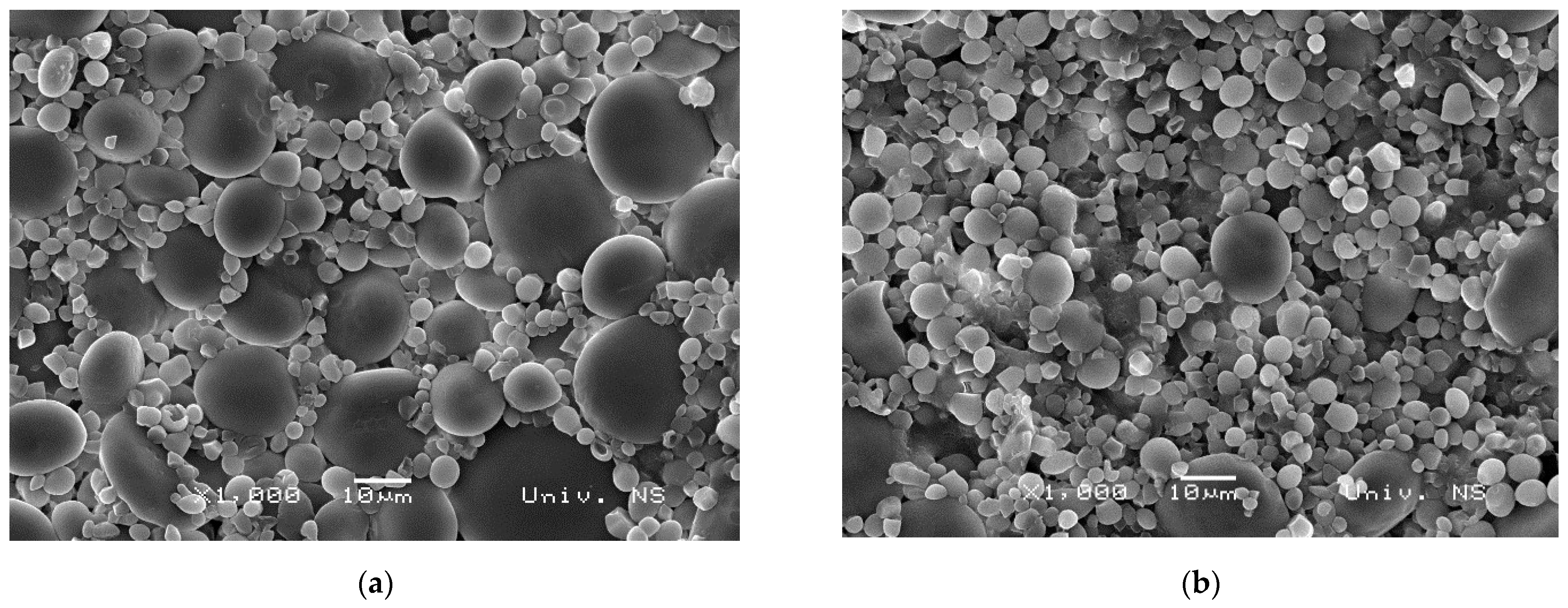 Fermentation 10 00144 g004