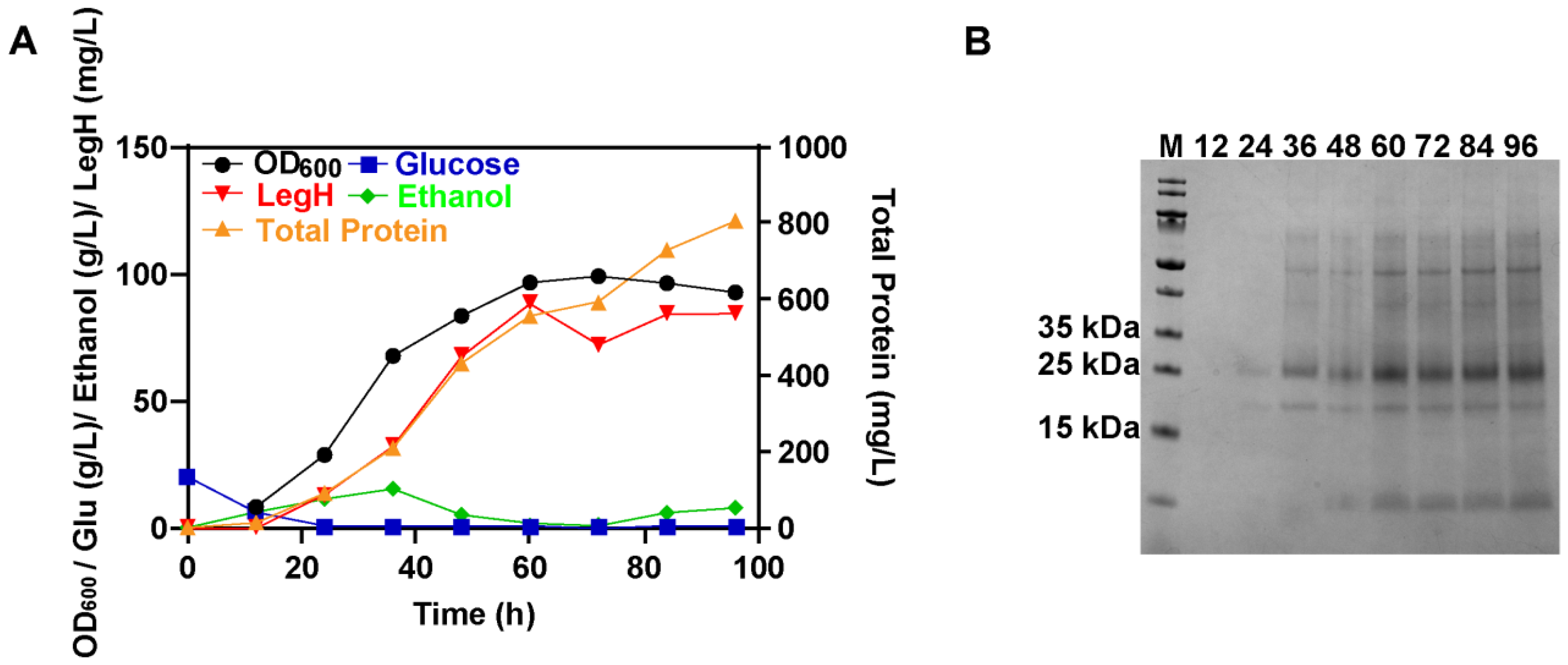 Fermentation 10 00146 g008