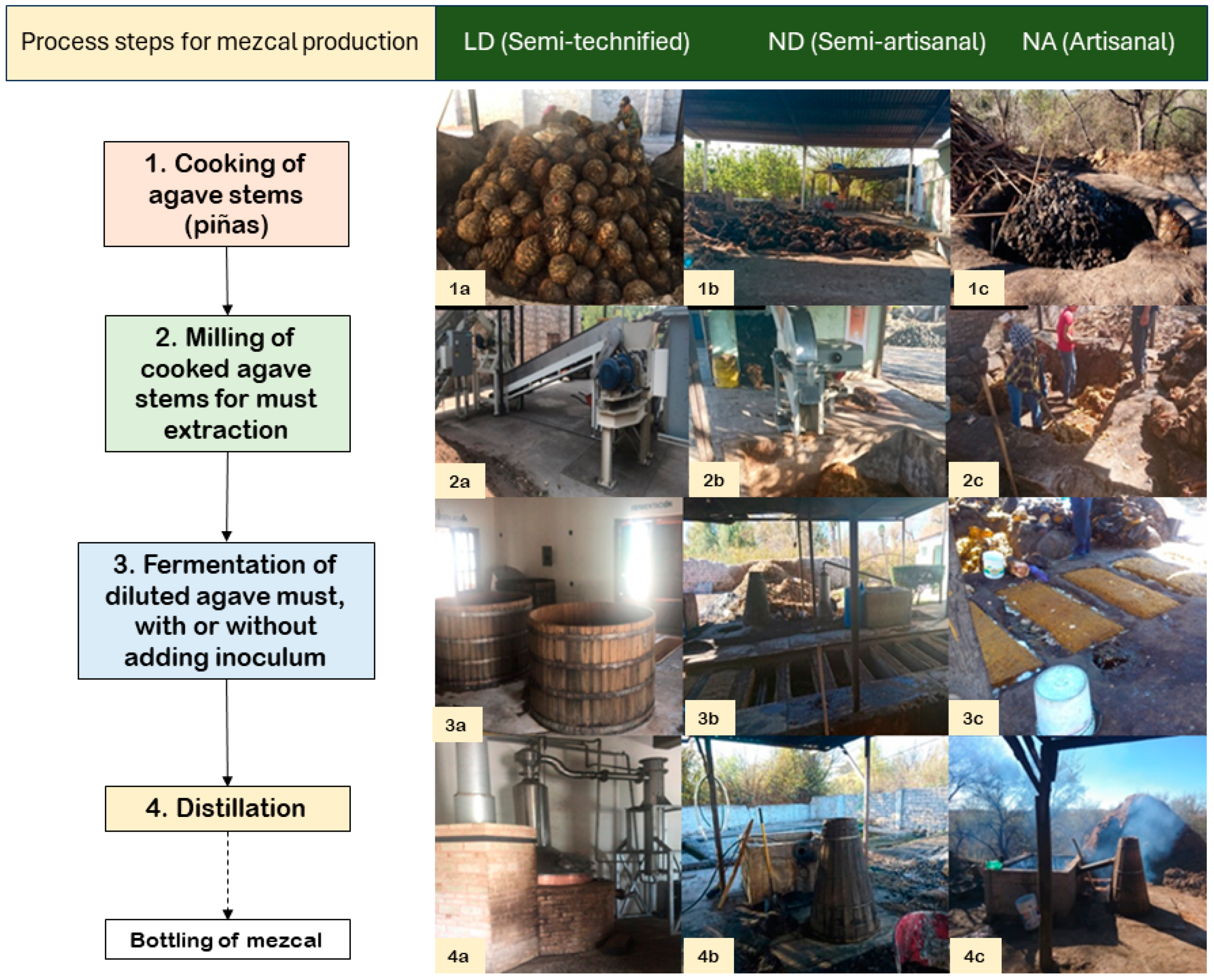 Fermentation 10 00147 g001