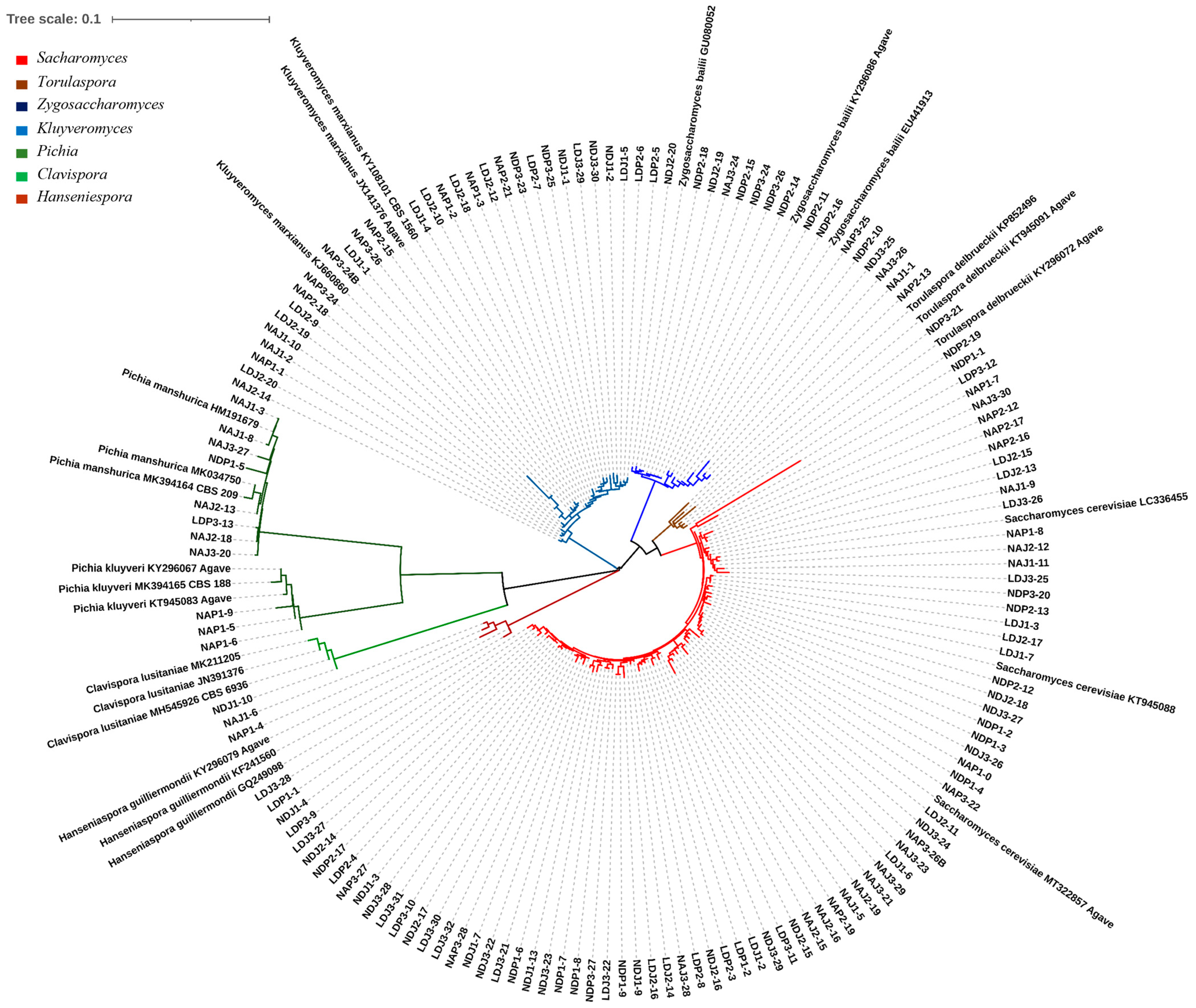 Fermentation 10 00147 g002