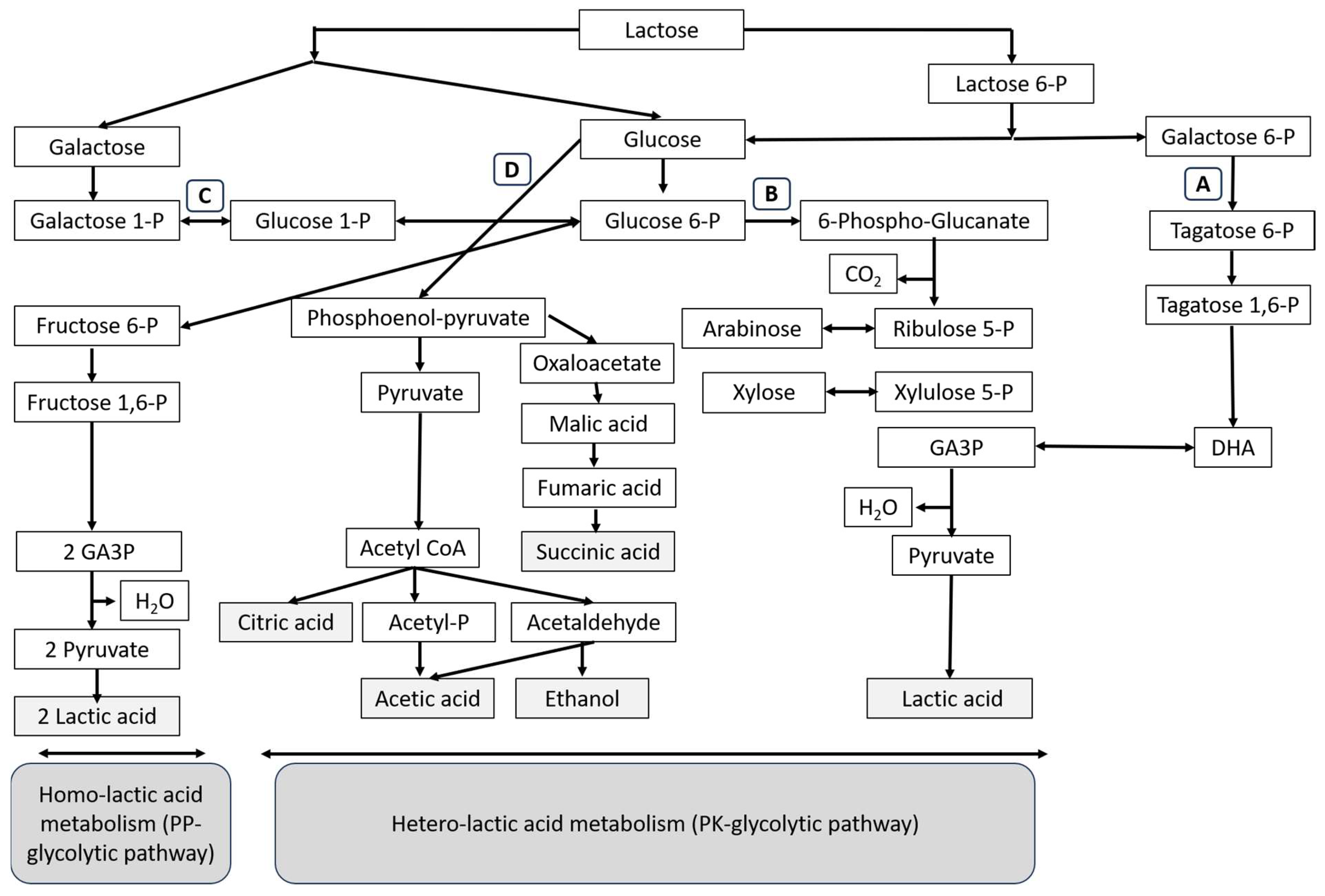 Fermentation 10 00149 g001