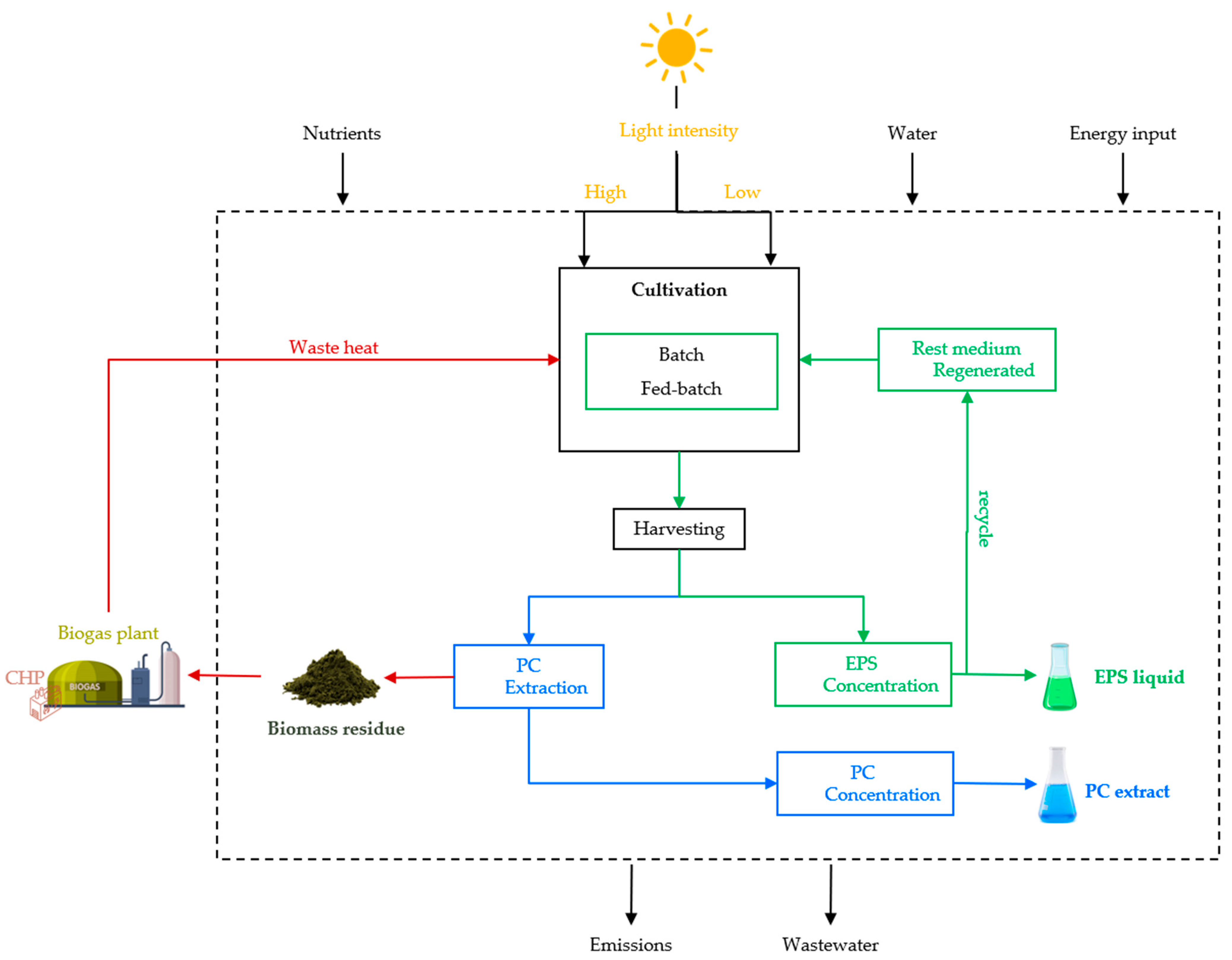 Fermentation 10 00163 g002
