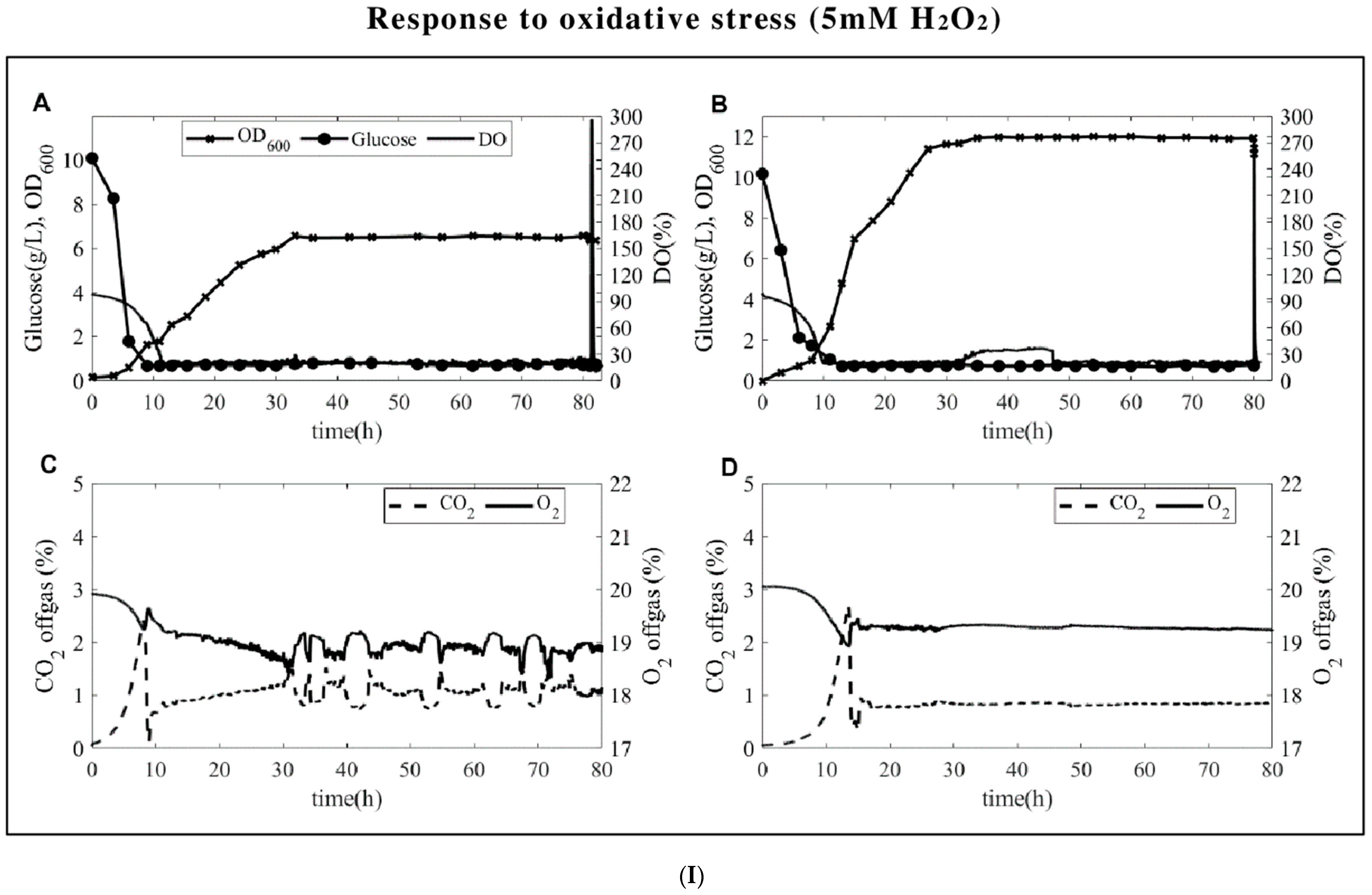 Fermentation 10 00166 g001a