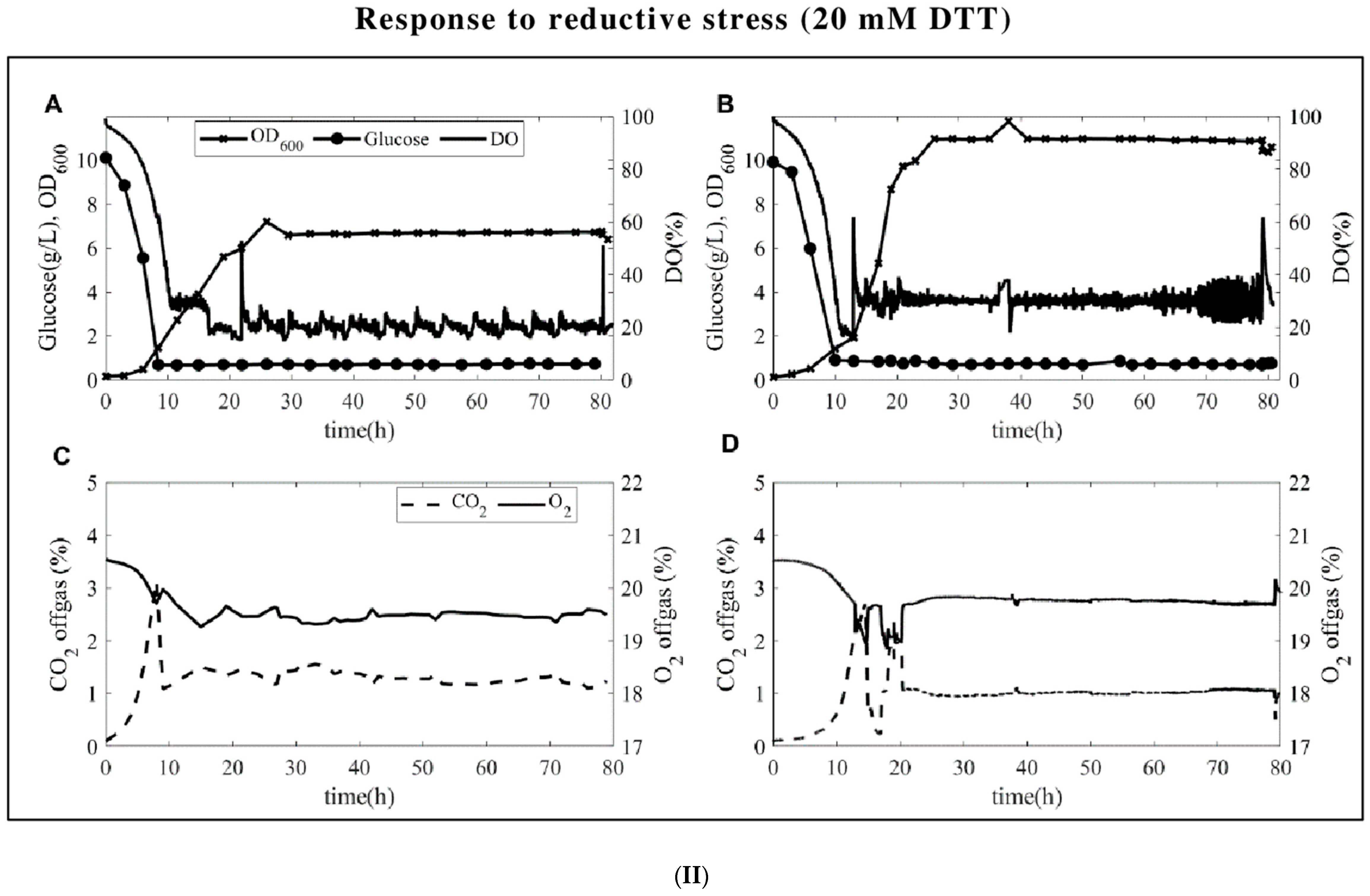 Fermentation 10 00166 g001b