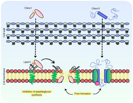 Fermentation 10 00168 g005
