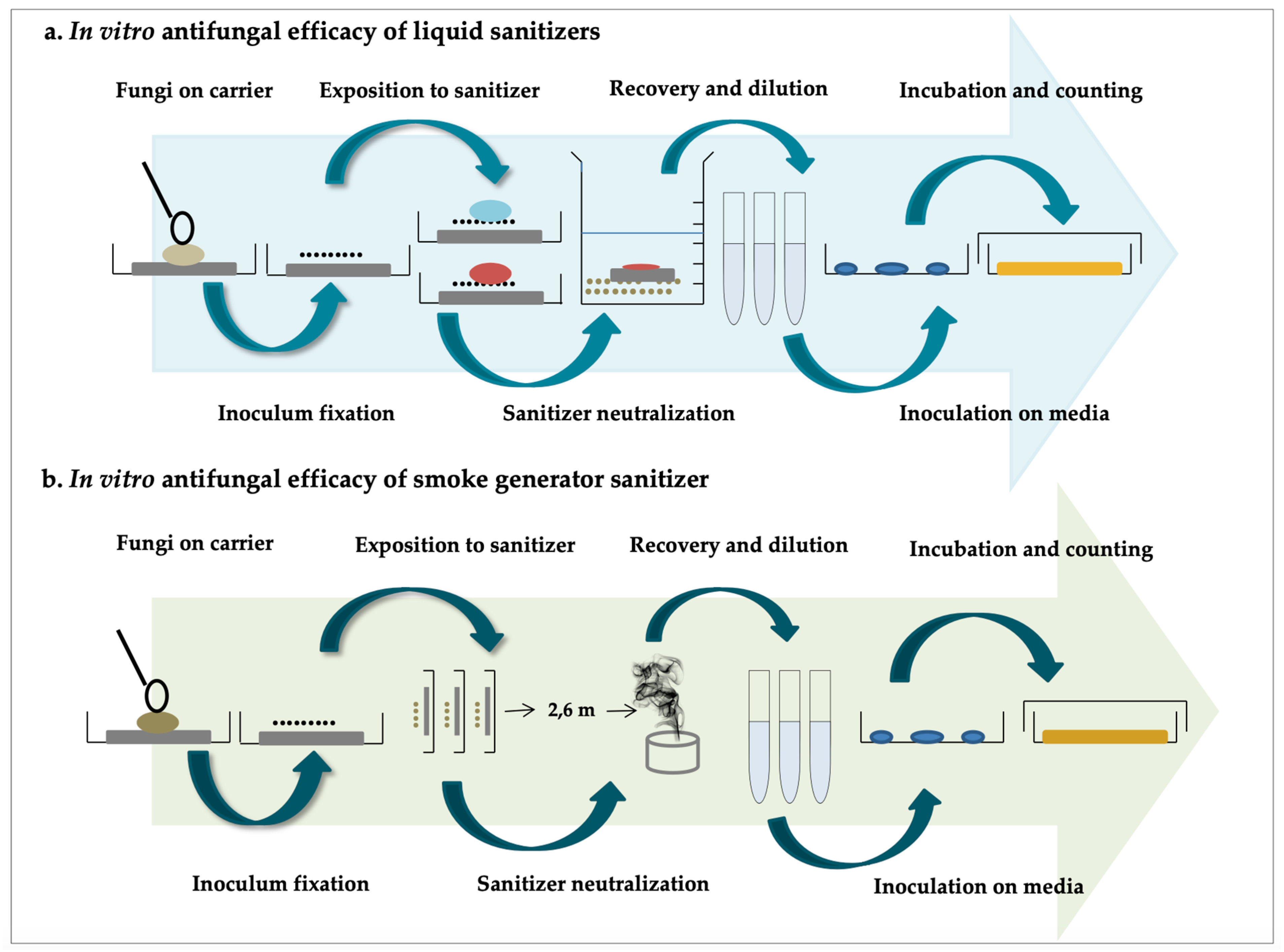 Fermentation 10 00169 g001