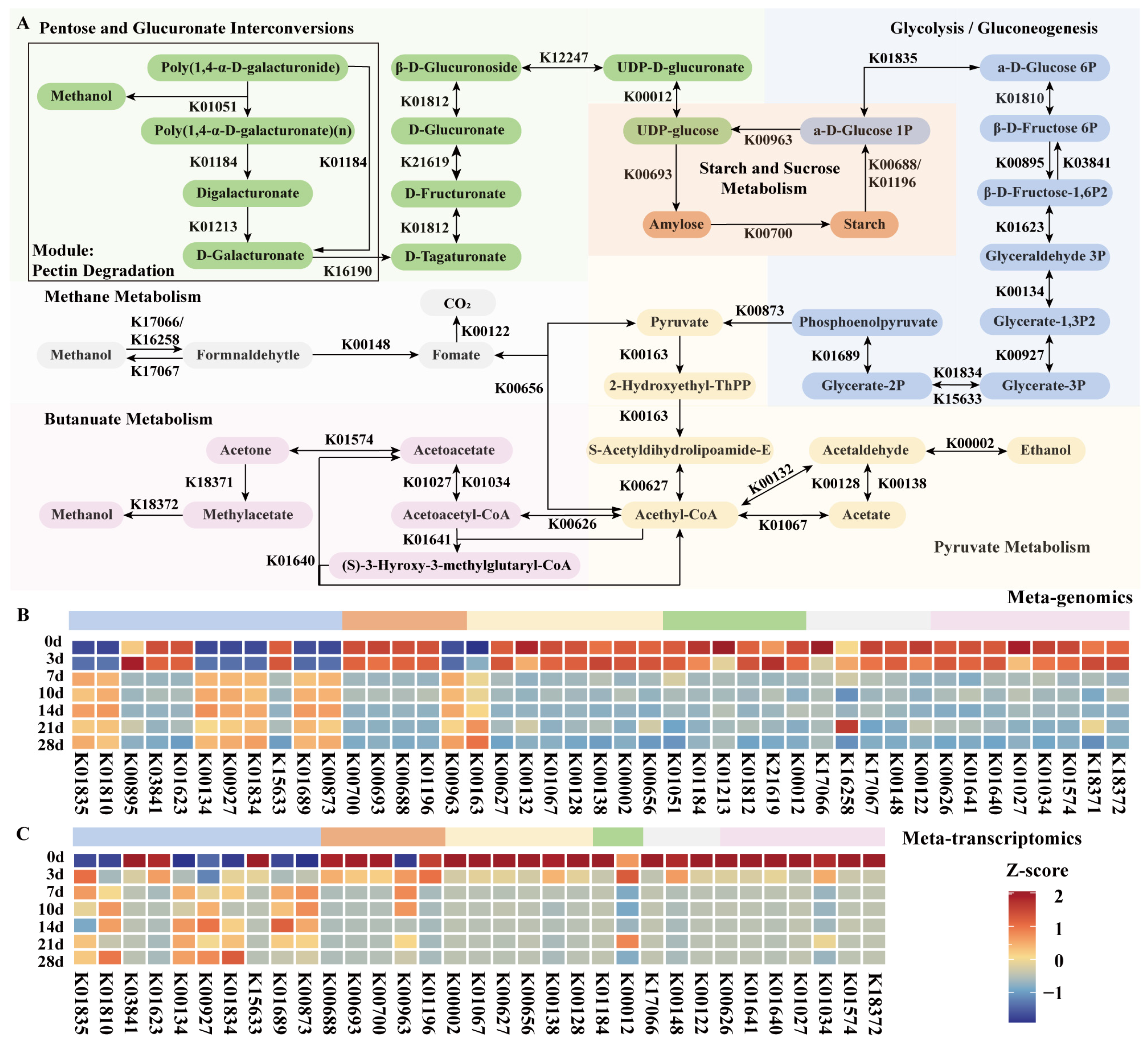 Fermentation 10 00175 g004