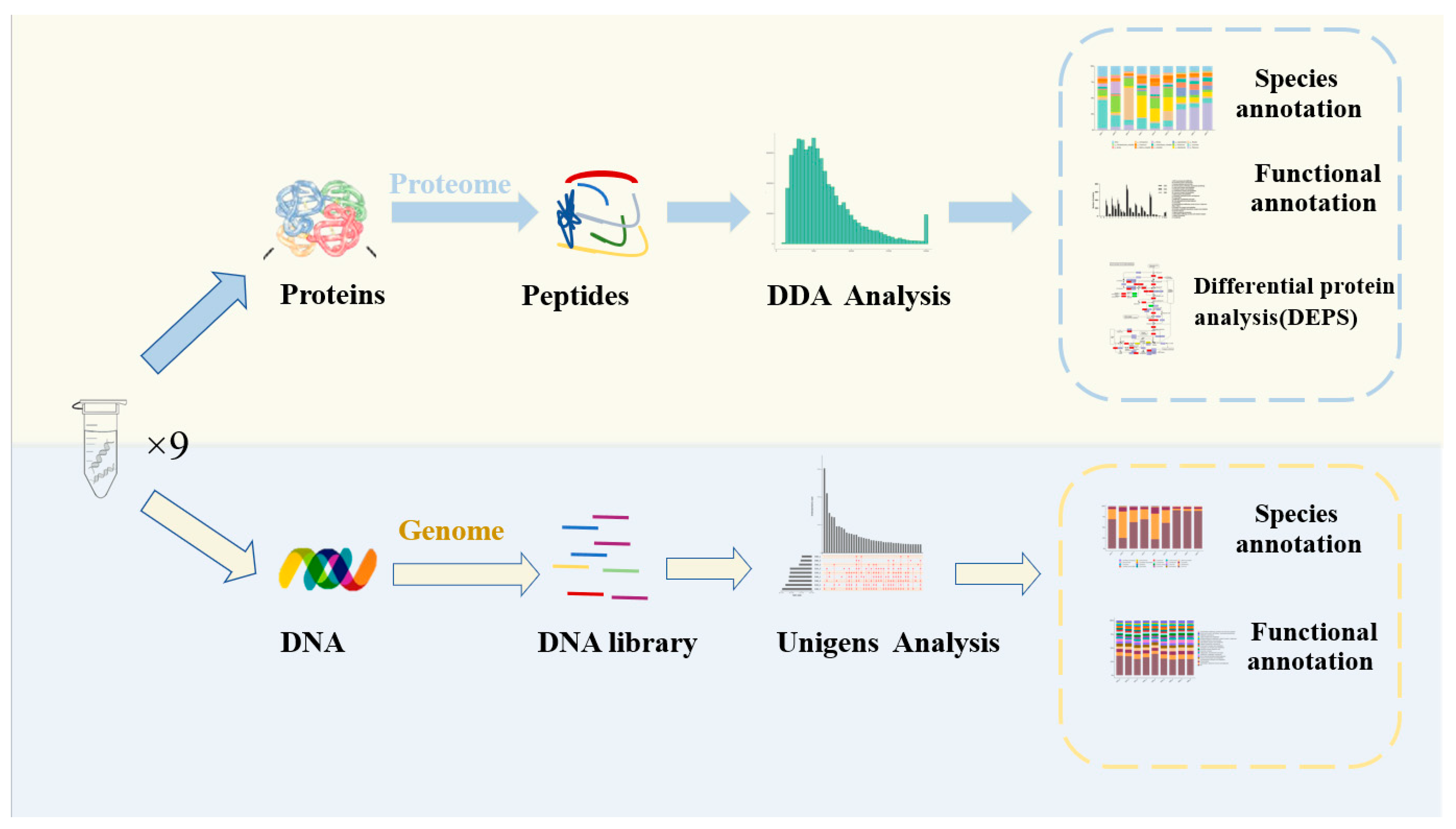 Fermentation 10 00185 g001