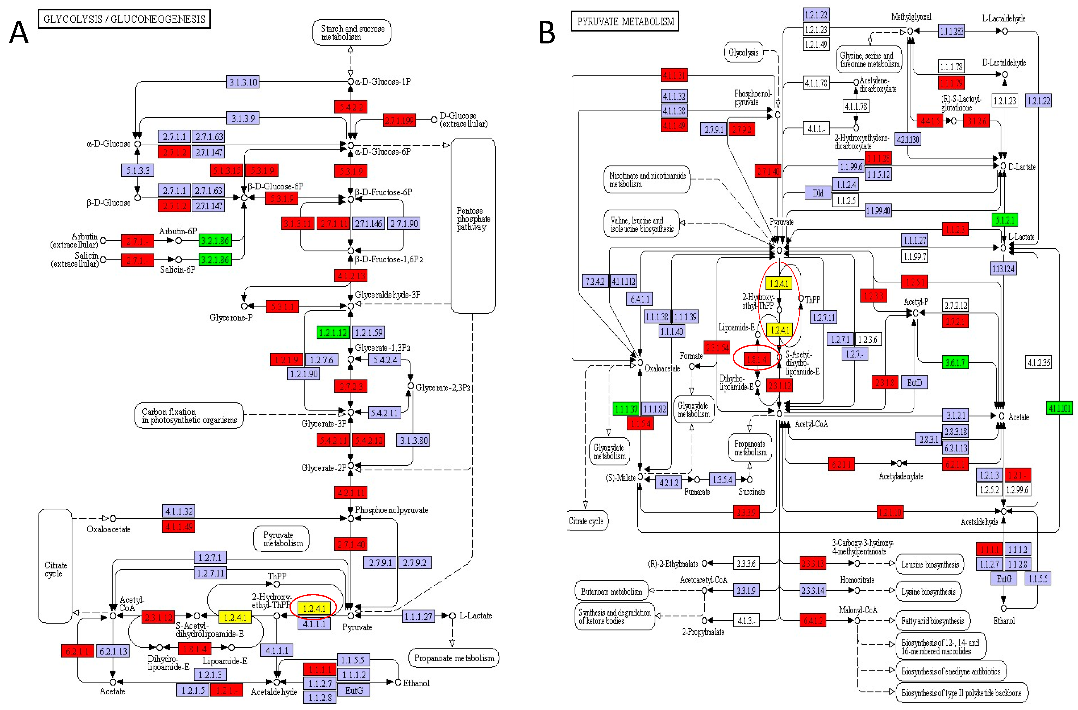 Fermentation 10 00185 g007