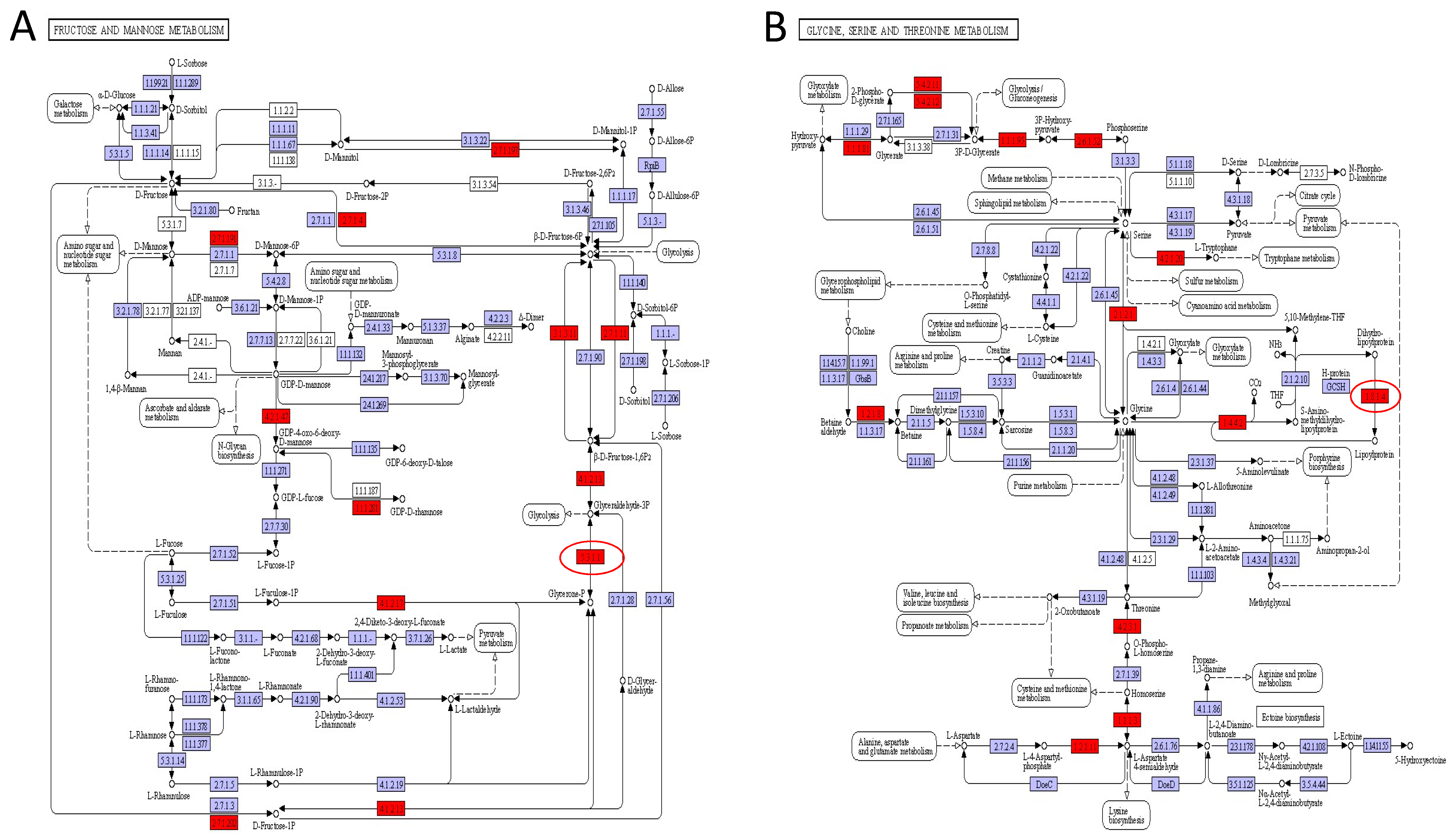 Fermentation 10 00185 g008