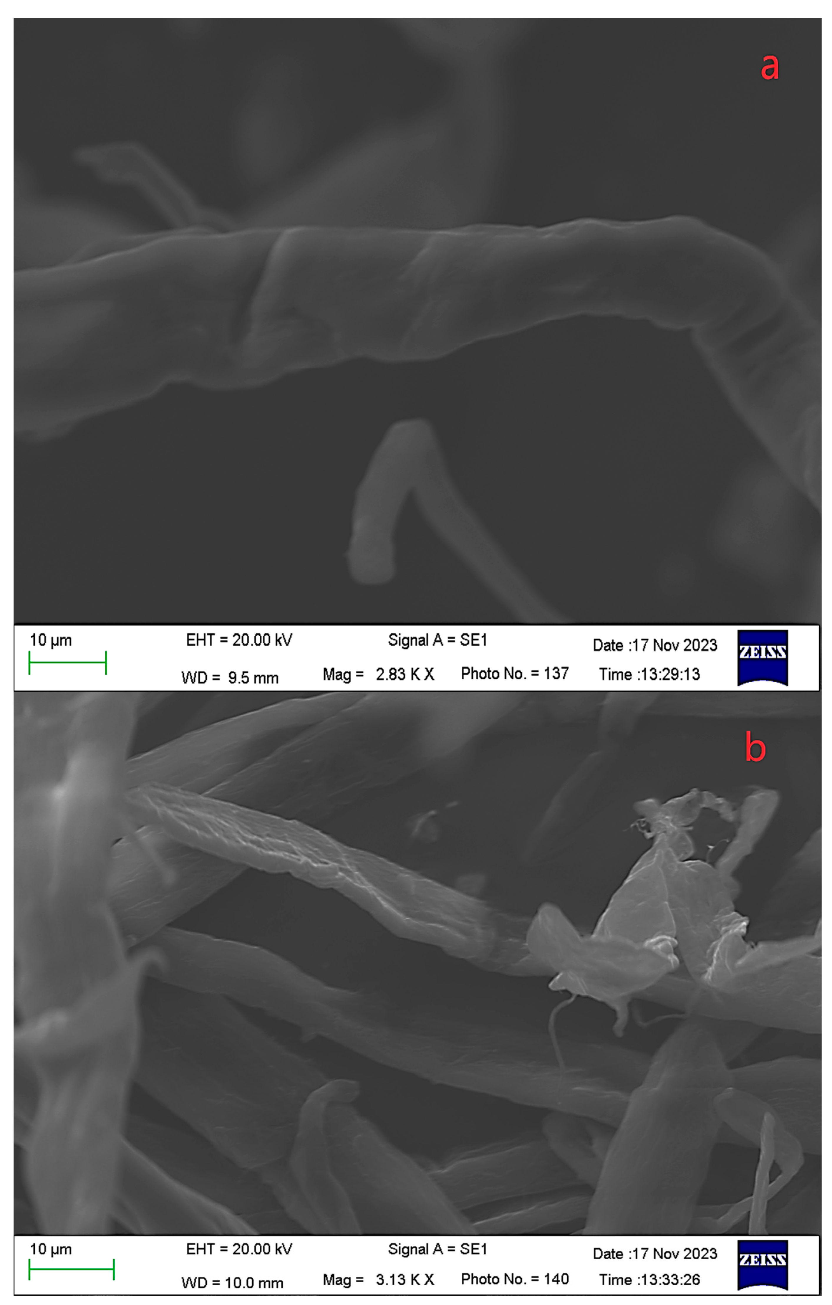Fermentation 10 00194 g001