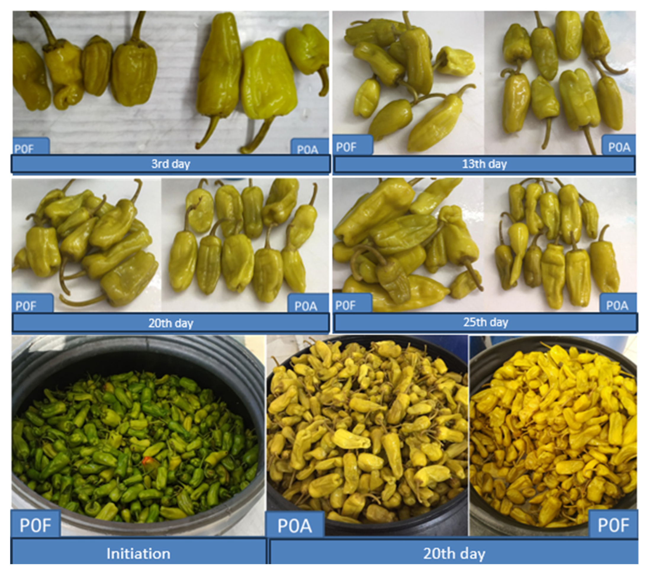 Fermentation 10 00196 g008