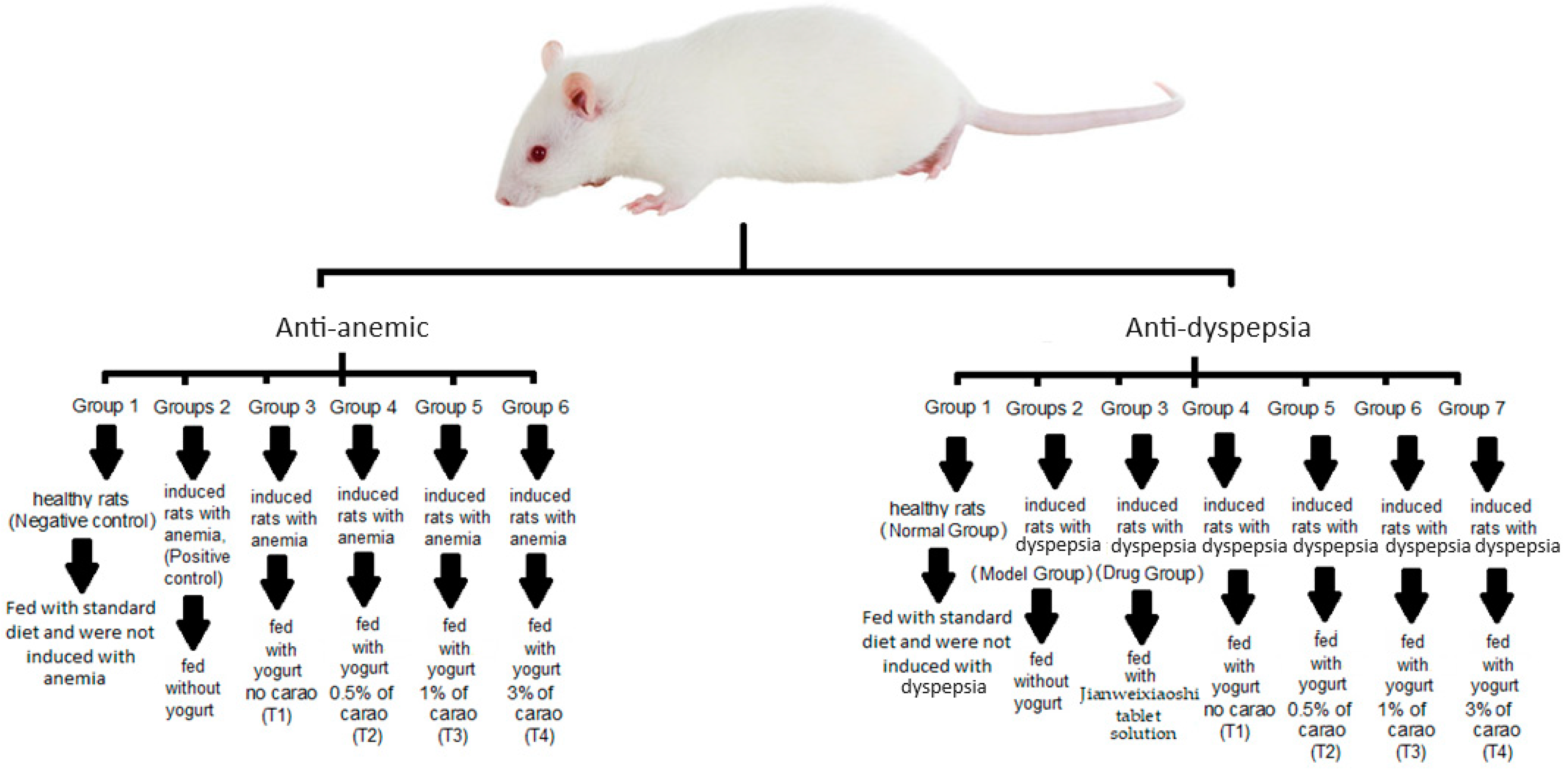 Fermentation 10 00199 g001