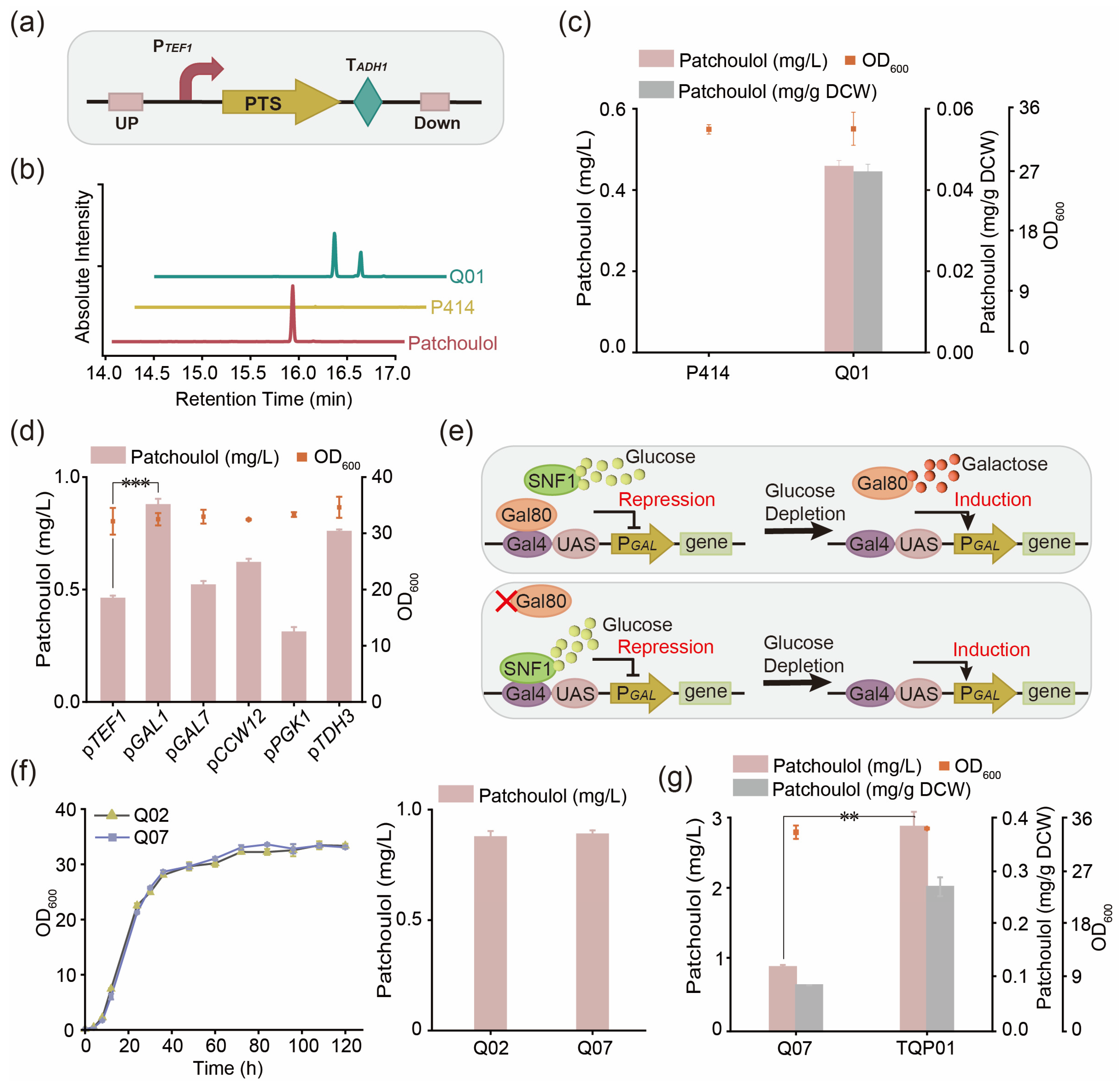 Fermentation 10 00211 g002