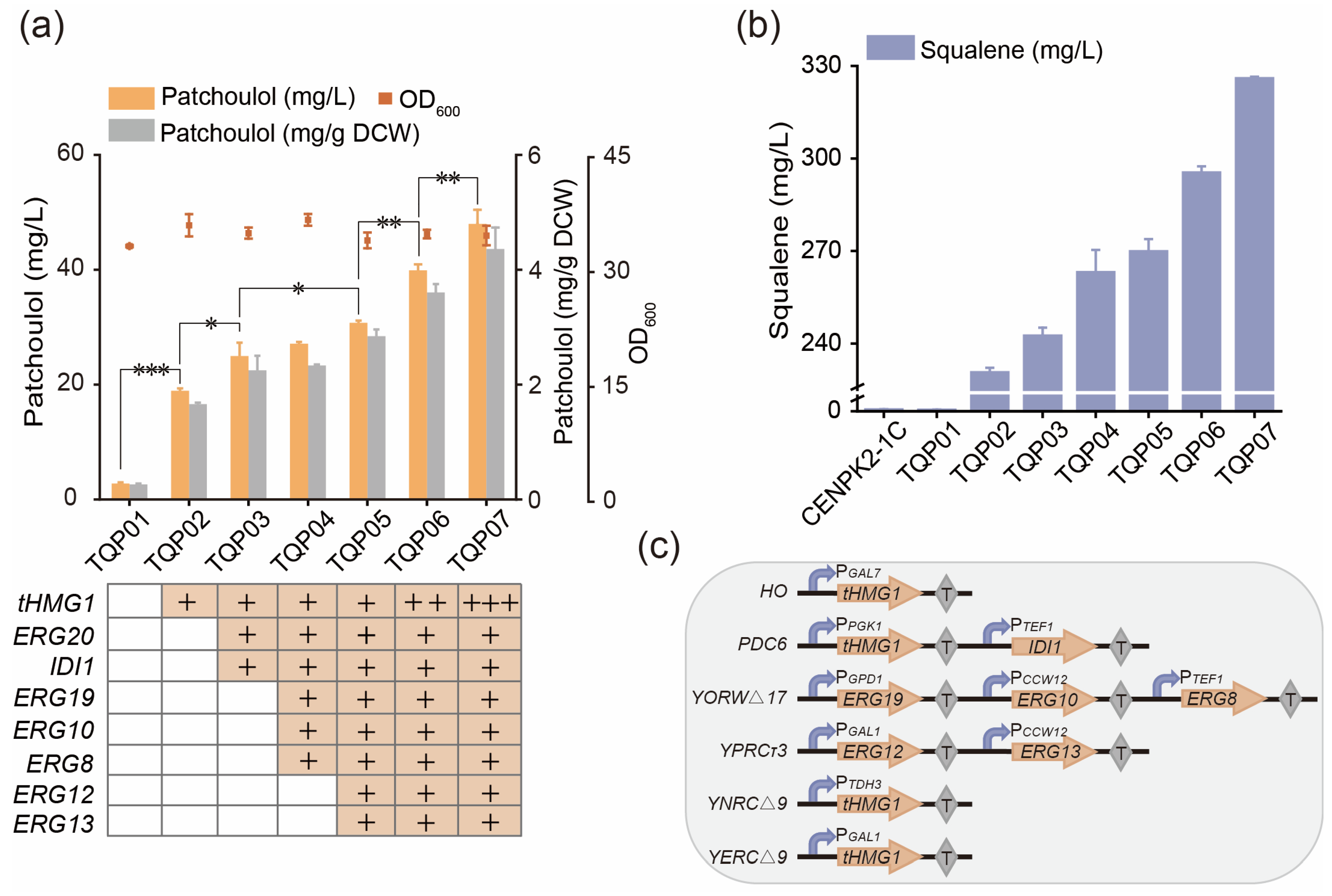 Fermentation 10 00211 g003