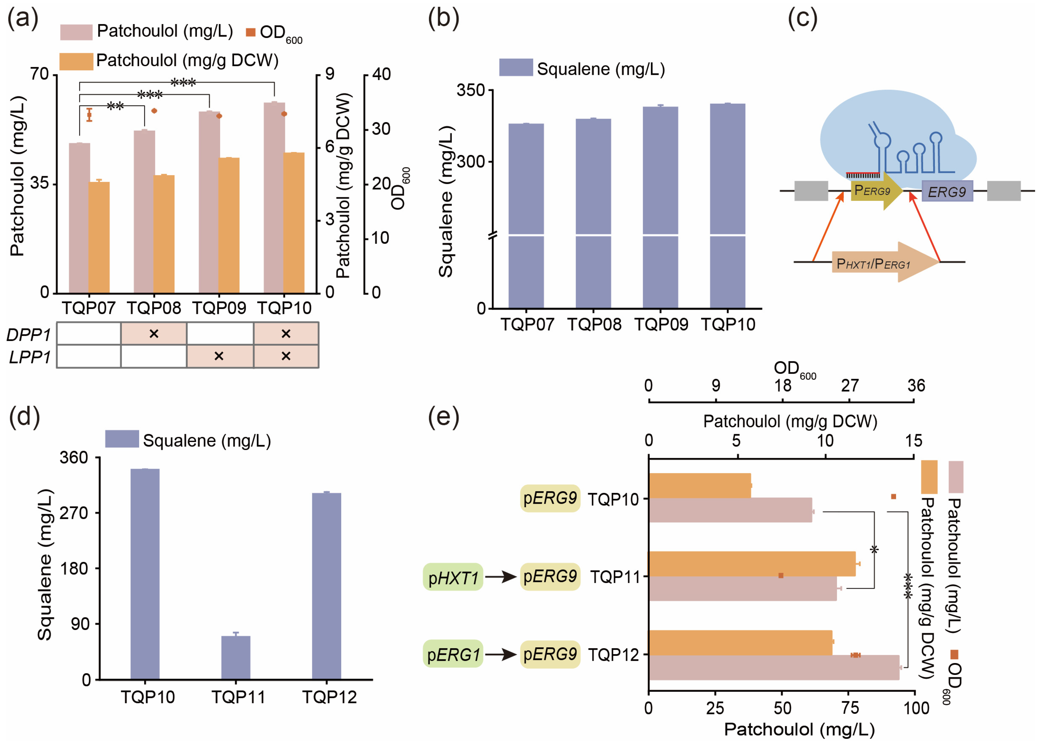 Fermentation 10 00211 g004