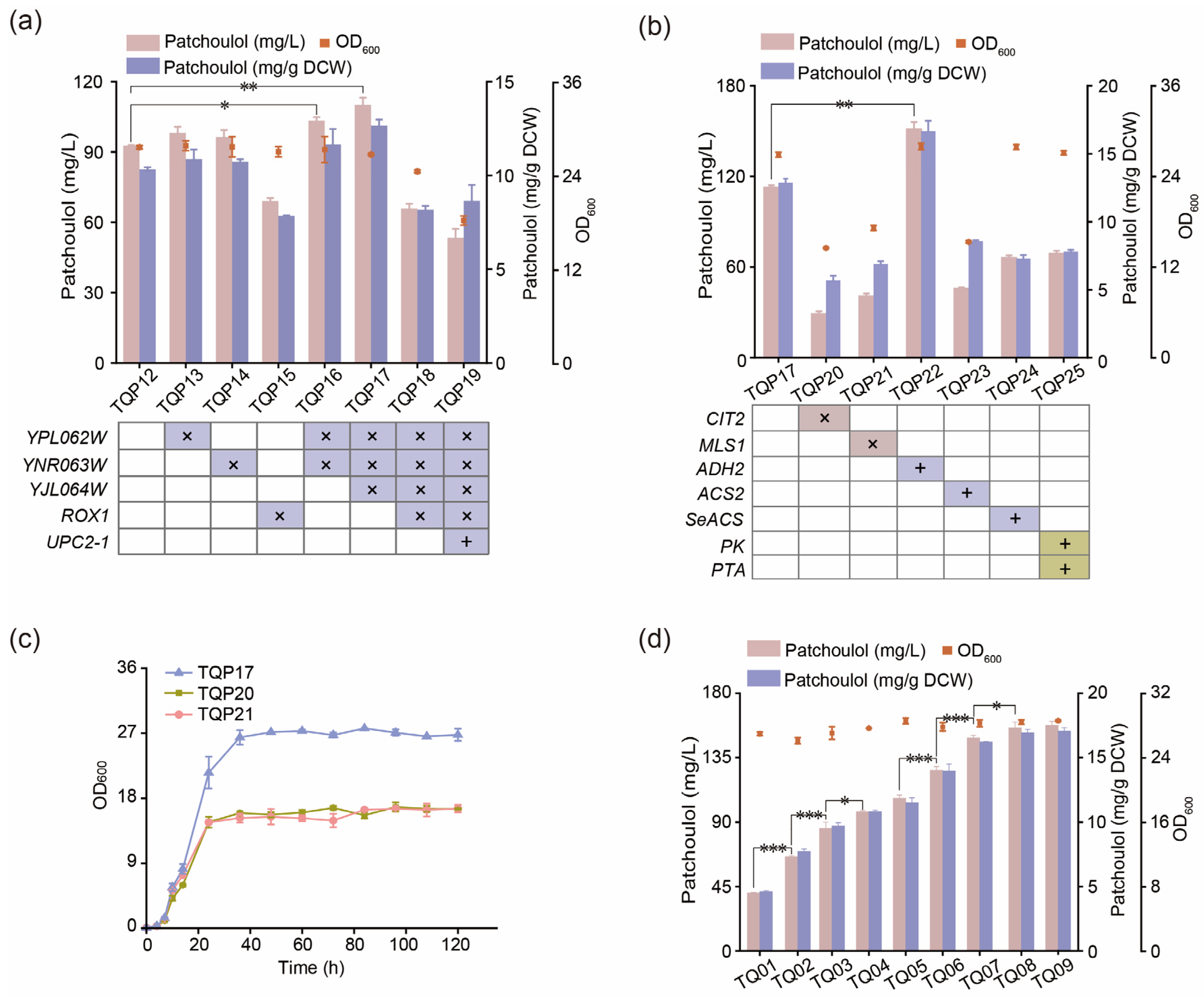 Fermentation 10 00211 g005