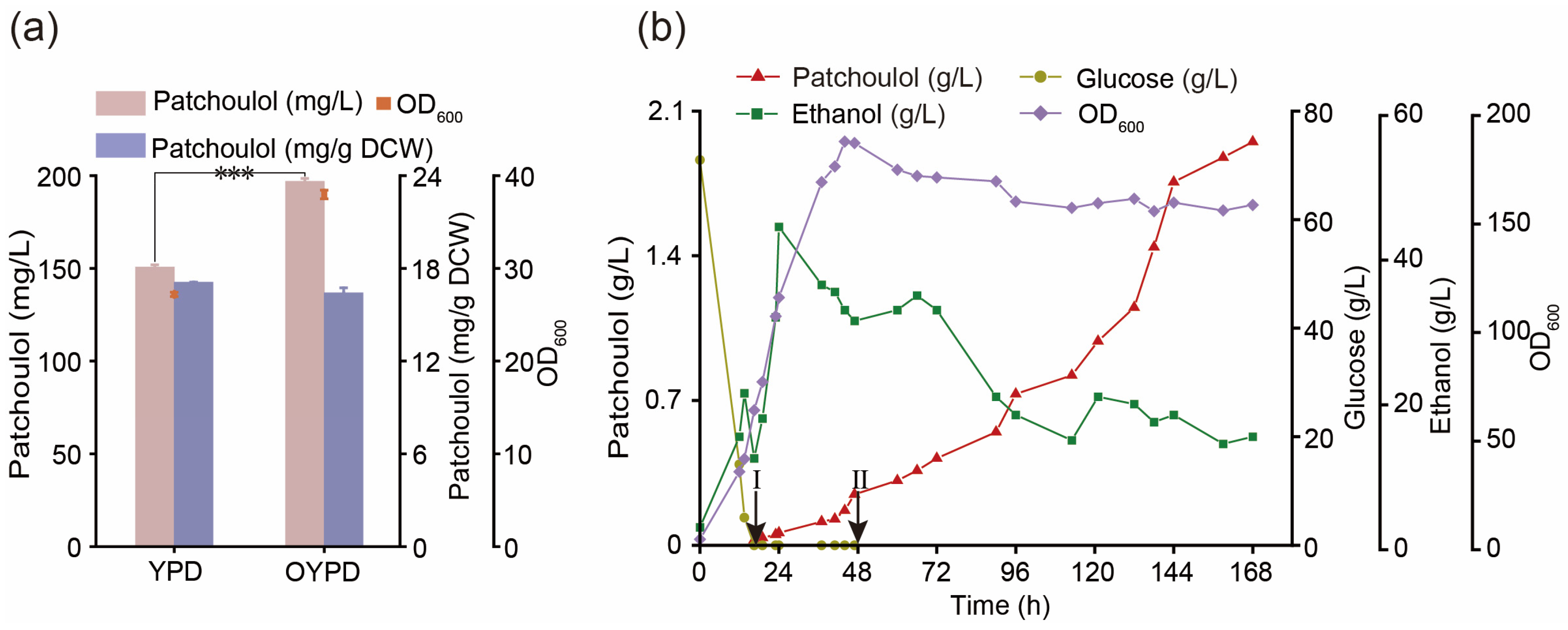 Fermentation 10 00211 g006